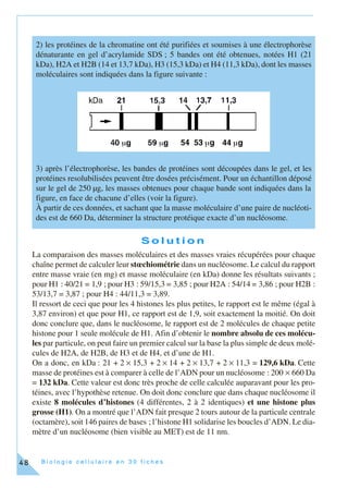 B i o l o g i e c e l l u l a i r e e n 3 0 f i c h e s48
S o l u t i o n
La comparaison des masses moléculaires et des masses vraies récupérées pour chaque
chaîne permet de calculer leur stœchiométrie dans un nucléosome. Le calcul du rapport
entre masse vraie (en mg) et masse moléculaire (en kDa) donne les résultats suivants ;
pour H1 : 40/21 = 1,9 ; pour H3 : 59/15,3 = 3,85 ; pour H2A : 54/14 = 3,86 ; pour H2B :
53/13,7 = 3,87 ; pour H4 : 44/11,3 = 3,89.
Il ressort de ceci que pour les 4 histones les plus petites, le rapport est le même (égal à
3,87 environ) et que pour H1, ce rapport est de 1,9, soit exactement la moitié. On doit
donc conclure que, dans le nucléosome, le rapport est de 2 molécules de chaque petite
histone pour 1 seule molécule de H1. Afin d’obtenir le nombre absolu de ces molécu-
les par particule, on peut faire un premier calcul sur la base la plus simple de deux molé-
cules de H2A, de H2B, de H3 et de H4, et d’une de H1.
On a donc, en kDa : 21 + 2 × 15,3 + 2 × 14 + 2 × 13,7 + 2 × 11,3 = 129,6 kDa. Cette
masse de protéines est à comparer à celle de l’ADN pour un nucléosome : 200 × 660 Da
= 132 kDa. Cette valeur est donc très proche de celle calculée auparavant pour les pro-
téines, avec l’hypothèse retenue. On doit donc conclure que dans chaque nucléosome il
existe 8 molécules d’histones (4 différentes, 2 à 2 identiques) et une histone plus
grosse (H1). On a montré que l’ADN fait presque 2 tours autour de la particule centrale
(octamère), soit 146 paires de bases ; l’histone H1 solidarise les boucles d’ADN. Le dia-
mètre d’un nucléosome (bien visible au MET) est de 11 nm.
2) les protéines de la chromatine ont été purifiées et soumises à une électrophorèse
dénaturante en gel d’acrylamide SDS ; 5 bandes ont été obtenues, notées H1 (21
kDa), H2A et H2B (14 et 13,7 kDa), H3 (15,3 kDa) et H4 (11,3 kDa), dont les masses
moléculaires sont indiquées dans la figure suivante :
3) après l’électrophorèse, les bandes de protéines sont découpées dans le gel, et les
protéines resolubilisées peuvent être dosées précisément. Pour un échantillon déposé
sur le gel de 250 µg, les masses obtenues pour chaque bande sont indiquées dans la
figure, en face de chacune d’elles (voir la figure).
À partir de ces données, et sachant que la masse moléculaire d’une paire de nucléoti-
des est de 660 Da, déterminer la structure protéique exacte d’un nucléosome.
 