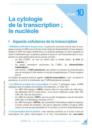 ©Dunod–Laphotocopienonautoriséeestundélit.
49F I C H E 1 0 – L a c y t o l o g i e d e l a t r a n s c r i p t i o n ; l e n u c l é o l e
FICHE10
La cytologie
de la transcription ;
le nucléole
I Aspects cellulaires de la transcription
• Définition moléculaire du processus : ce processus universel consiste dans le reco-
piage en termes d’ARN (sous la forme d’une chaîne de ribonucléotides) d’une séquence
donnée d’ADN (lui-même double-brin). Le matériel génétique est ainsi segmenté en
unités d’information qui, en général, quittent le noyau et vont fonctionner dans le cyto-
plasme. La transcription nécessite les acteurs suivants :
– un brin d’ADN : un seul est utilisé dans la double hélice : le brin dit
« matrice » ;
– les quatre monomères précurseurs de l’ARN : les ribonucléotides
triphosphates ;
– une enzyme : l’ARN polymérase, qui catalyse la réaction de polymérisation
tout en recopiant le brin matrice en un brin complémentaire (T étant remplacé
par U).
Les limites du segment transcrit, appelé « unité de transcription », sont : en amont, le
promoteur, et en aval, le terminateur, que l’ARN polymérase reconnaît.
• Les différents produits de la transcription : il existe 3 principaux types d’ARN
impliqués dans la synthèse des protéines (la traduction ; cf. fiche 16) :
– les ARN ribosomiques (ARNr), trouvés dans les sous-unités des ribosomes,
très abondants (80 %) et peu divers : il en existe 4 différents (notés 28S, 18S,
5,8S, 5S), chez les Eucaryotes ;
– les ARN de transfert (ARNt), qui ont un rôle d’adaptateur, tous de très petite
taille (4S), et d’abondance moyenne (15 %) ;
– les ARN messagers (ARNm), qui constituent l’information codant la séquence
d’acides aminés des protéines ; très divers (plusieurs milliers d’espèces diffé-
rentes), ils sont très peu abondants (5 %) au total, et a fortiori individuellement.
• La transcription dans le nucléole : cette structure nucléaire est à la fois le lieu de
transcription des gènes ribosomiques et le lieu d’accumulation des sous-unités
 