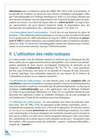 B i o l o g i e c e l l u l a i r e e n 3 0 f i c h e s50
ribosomiques qui s’y élaborent à partir des ARNr 28S, 18S et 5,8S, et de protéines. Il
est possible de visualiser ces processus avec diverses techniques cytologiques, telles
que l’autoradiographie ou l’ombrage métallique (cf. fiche 11). Les images obtenues par
cette dernière technique sont très démonstratives de l’intensité du phénomène de trans-
cription à ce niveau : on y décrit des figures dites en « arbres de Noël ». Ce type d’ima-
ges spectaculaires est aussi observé lorsqu’on étudie la transcription dans des
chromosomes très particuliers, dits « chromosomes géants » (cf. fiche 12).
• La transcription dans l’euchromatine : c’est le lieu où sont transcrits les gènes de
protéines ; l’état relâché du matériel génétique à ce niveau est très favorable à la fixation
et à la progression des ARN polymérases le long de l’ADN. L’utilisation de précur-
seurs d’ARN (l’uridine radioactive, par exemple) dans le cadre d’expériences de pulse-
chasse (cf. fiche 17) suivies de l’autoradiographie, montre très clairement que l’euchro-
matine est activement transcrite, mais pas l’hétérochromatine.
II L’utilisation des radio-isotopes
Les radio-isotopes sont des éléments naturels ou artificiels qui se distinguent des élé-
ments stables par un rapport protons/neutrons déséquilibré ; ceci conduit à une désinté-
gration spontanée de leurs noyaux accompagnée d’émissions de particules ou de
radiations : c’est la radioactivité. Ces éléments (3H, 14C, 32P, 35S…) sont caractérisés
par leur type d’émission, leur demi-vie (la période) et l’énergie de leurs émissions.
L’activité spécifique d’un échantillon radioactif est une mesure de la richesse de
l’échantillon en atomes ou en composés radioactifs.
• La détection des radio-isotopes : ils sont détectés grâce à des compteurs dits « à
scintillation » (pour des échantillons chimiques purifiés) à travers la transformation des
émissions produites en photons mesurables par des photomultiplicateurs, ou bien par la
technique d’autoradiographie, qui a des applications tant en Biologie Cellulaire
(cf. fiche 16) qu’en Biologie Moléculaire (cf. fiche 23). La sensibilité extrême de cette
détection, très supérieure à toutes les méthodes chimiques, fait de cette technique un
outil unique pour l’étude de très nombreux processus biologiques.
• L’utilisation des radio-isotopes : ils sont employés sous forme de molécules miné-
rales (ions : Na+, K+
,
NH4
+, CO2
) ou organiques (acides aminés, nucléotides, sucres…,
comportant un ou plusieurs atomes de C, d’H ou de N radioactifs). Ils sont ainsi utilisés
in vitro ou in vivo comme précurseurs des activités métaboliques analysées. Les molé-
cules radiomarquées n’étant pas distinguées des molécules normales par les enzymes et
donc par les cellules (car elles ont les mêmes propriétés chimiques), elles sont assimi-
lées, métabolisées de la même façon et enfin intégrées (on dit aussi : incorporées) dans
leur matière ; elles agissent comme des molécules « espions » facilement détectables ;
on parle de « traceurs ».
 