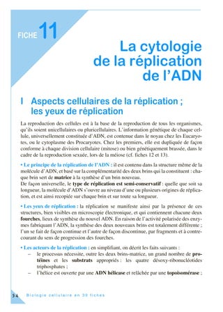 B i o l o g i e c e l l u l a i r e e n 3 0 f i c h e s
FICHE
54
11
La cytologie
de la réplication
de l’ADN
I Aspects cellulaires de la réplication ;
les yeux de réplication
La reproduction des cellules est à la base de la reproduction de tous les organismes,
qu’ils soient unicellulaires ou pluricellulaires. L’information génétique de chaque cel-
lule, universellement constituée d’ADN, est contenue dans le noyau chez les Eucaryo-
tes, ou le cytoplasme des Procaryotes. Chez les premiers, elle est dupliquée de façon
conforme à chaque division cellulaire (mitose) ou bien génétiquement brassée, dans le
cadre de la reproduction sexuée, lors de la méiose (cf. fiches 12 et 13).
• Le principe de la réplication de l’ADN : il est contenu dans la structure même de la
molécule d’ADN, et basé sur la complémentarité des deux brins qui la constituent : cha-
que brin sert de matrice à la synthèse d’un brin nouveau.
De façon universelle, le type de réplication est semi-conservatif : quelle que soit sa
longueur, la molécule d’ADN s’ouvre au niveau d’une ou plusieurs origines de réplica-
tion, et est ainsi recopiée sur chaque brin et sur toute sa longueur.
• Les yeux de réplication : la réplication se manifeste ainsi par la présence de ces
structures, bien visibles en microscopie électronique, et qui contiennent chacune deux
fourches, lieux de synthèse du nouvel ADN. En raison de l’activité polarisée des enzy-
mes fabriquant l’ADN, la synthèse des deux nouveaux brins est totalement différente ;
l’un se fait de façon continue et l’autre de façon discontinue, par fragments et à contre-
courant du sens de progression des fourches.
• Les acteurs de la réplication : en simplifiant, on décrit les faits suivants :
– le processus nécessite, outre les deux brins-matrice, un grand nombre de pro-
téines et les substrats appropriés : les quatre désoxy-ribonucléotides
triphosphates ;
– l’hélice est ouverte par une ADN hélicase et relâchée par une topoisomérase ;
 