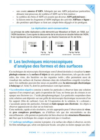 ©Dunod–Laphotocopienonautoriséeestundélit.
F I C H E 1 1 – L a c y t o l o g i e d e l a r é p l i c a t i o n d e l ’ A D N
11
55
– une courte amorce d’ARN, fabriquée par une ARN polymérase particulière,
démarre tout processus de synthèse d’ADN sur le brin matrice ;
– la synthèse des brins d’ADN est assurée par diverses ADN polymérases ;
– la liaison entre les fragments d’ADN implique des activités ARNase et ligase ;
– des protéines spécifiques se lient aux simple-brins dégagés et les protègent.
II Les techniques microscopiques
d’analyse des formes et des surfaces
Ces techniques de microscopie électronique sont d’abord destinées à visualiser la mor-
phologie externe ou la surface d’objets de très petites dimensions, tels que des molé-
cules, des virus, des bactéries ou des organites isolés ; elles permettent aussi de
visualiser des surfaces de fracture obtenues dans des échantillons congelés (cryofrac-
ture). Ces méthodes peuvent être mises en parallèle avec la microscopie électronique
à balayage (cf. fiche 5), dont les performances sont équivalentes.
• La coloration négative consiste à mettre les particules à observer dans une solution
aqueuse d’un composé qui, après évaporation de l’eau, ne forme pas de cristaux et est
opaque aux électrons (ex : l’acide phosphotungstique). Les particules suspendues dans
cette solution sont déposées sur une grille de microscopie électronique recouverte d’un
fin support (film de carbone). Lors de l’évaporation de la solution, le « colorant »
s’accumule autour des particules, formant un halo opaque aux électrons : les objets à
observer apparaissent en clair sur un fond noir.
Cette méthode, rapide et très résolutive, est très appropriée pour l’observation de virus,
de gros complexes protéiques, ou d’édifices tels que des microtubules ou des
microfilaments ; elle permet en particulier de bien observer des structures filamenteu-
ses fines que la technique des coupes ne parvient pas à visualiser.
• L’ombrage métallique consiste à projeter, à la surface des objets à observer, un très
fin film métallique qui, selon son épaisseur locale, sera plus ou moins opaque aux élec-
La réplication semi-conservative
Le principe de cette réplication a été démontré par Meselson et Stahl, en 1958, sur
l’ADN bactérien, 5 ans après la découverte de la structure en double hélice de l’ADN.
Il est représenté par le schéma suivant, qui illustre l’exercice en fin de fiche :
 
