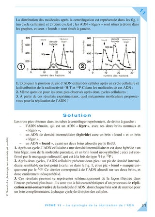 ©Dunod–Laphotocopienonautoriséeestundélit.
F I C H E 1 1 – L a c y t o l o g i e d e l a r é p l i c a t i o n d e l ’ A D N
11
57
S o l u t i o n
Les trois pics obtenus dans les tubes à centrifuger représentent, de droite à gauche :
– l’ADN témoin, qui est un ADN « léger », avec ses deux brins normaux et
« légers »,
– un ADN de densité intermédiaire (hybride) avec un brin « lourd » et un brin
« léger »,
– un ADN « lourd », ayant ses deux brins alourdis par le BrdU.
1. Après un cycle, l’ADN cellulaire a une densité intermédiaire et est donc hybride : un
brin léger, issu de la molécule parentale, et un brin lourd néosynthétisé ; ceci est con-
firmé par le marquage radioactif, qui est à la fois de type 3H et 32P ;
2. Après deux cycles, l’ADN cellulaire présente deux pics : un pic de densité intermé-
diaire semblable en tout point à celui vu dans la fig. 1, et un pic « lourd » marqué uni-
quement par le 32P. Ce dernier correspond à de l’ADN alourdi sur ses deux brins, et
donc entièrement néosynthétisé.
3. Ces résultats peuvent se représenter schématiquement de la façon illustrée dans
l’encart présenté plus haut ; ils sont tout à fait caractéristiques d’un processus de répli-
cation semi-conservative de la molécule d’ADN, dont chaque brin sert de matrice pour
un brin complémentaire, à chaque cycle de division des cellules.
La distribution des molécules après la centrifugation est représentée dans les fig. 1
(un cycle cellulaire) et 2 (deux cycles) ; les ADN « légers » sont situés à droite dans
les graphes, et ceux « lourds » sont situés à gauche.
1. Expliquer la position du pic d’ADN extrait des cellules après un cycle cellulaire et
la distribution de la radioactivité 3H-T et 32P-C dans les molécules de cet ADN ;
2. Même question pour les deux pics observés après deux cycles cellulaires ;
3. À partir de ces résultats expérimentaux, quel mécanisme moléculaire proposez-
vous pour la réplication de l’ADN ?
 