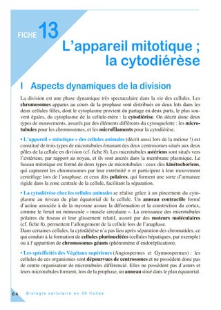 B i o l o g i e c e l l u l a i r e e n 3 0 f i c h e s
FICHE
64
13
L’appareil mitotique ;
la cytodiérèse
I Aspects dynamiques de la division
La division est une phase dynamique très spectaculaire dans la vie des cellules. Les
chromosomes apparus au cours de la prophase sont distribués en deux lots dans les
deux cellules filles, dont le cytoplasme provient du partage en deux parts, le plus sou-
vent égales, du cytoplasme de la cellule-mère : la cytodiérèse. On décrit donc deux
types de mouvements, assurés par des éléments différents du cytosquelette : les micro-
tubules pour les chromosomes, et les microfilaments pour la cytodiérèse.
• L’appareil « mitotique » des cellules animales (décrit aussi lors de la méiose !) est
constitué de trois types de microtubules émanant des deux centrosomes situés aux deux
pôles de la cellule en division (cf. fiche 8). Les microtubules astériens sont situés vers
l’extérieur, par rapport au noyau, et ils sont ancrés dans la membrane plasmique. Le
fuseau mitotique est formé de deux types de microtubules : ceux dits kinétochoriens,
qui capturent les chromosomes par leur extrémité + et participent à leur mouvement
centrifuge lors de l’anaphase, et ceux dits polaires, qui forment une sorte d’armature
rigide dans la zone centrale de la cellule, facilitant la séparation.
• La cytodiérèse chez les cellules animales se réalise grâce à un pincement du cyto-
plasme au niveau du plan équatorial de la cellule. Un anneau contractile formé
d’actine associée à de la myosine assure la déformation et la constriction du cortex,
comme le ferait un minuscule « muscle circulaire ». La croissance des microtubules
polaires du fuseau et leur glissement relatif, assuré par des moteurs moléculaires
(cf. fiche 8), permettent l’allongement de la cellule lors de l’anaphase.
Dans certaines cellules, la cytodiérèse n’a pas lieu après séparation des chromatides, ce
qui conduit à la formation de cellules plurinucléées (cellules hépatiques, par exemple)
ou à l’apparition de chromosomes géants (phénomène d’endoréplication).
• Les spécificités des Végétaux supérieurs (Angiospermes et Gymnospermes) : les
cellules de ces organismes sont dépourvues de centrosomes et ne possèdent donc pas
de centre organisateur de microtubules différencié. Elles ne possèdent pas d’asters et
leurs microtubules forment, lors de la prophase, un anneau situé dans le plan équatorial.
 