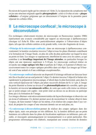 ©Dunod–Laphotocopienonautoriséeestundélit.
F I C H E 1 3 – L ’ a p p a r e i l m i t o t i q u e ; l a c y t o d i é r è s e
13
65
En raison de la paroi rigide qui les entoure (cf. fiche 2), la séparation du cytoplasme met
en jeu une structure originale appelée phragmoplaste ; celui-ci évolue en une « plaque
cellulaire » d’origine golgienne qui est directement à l’origine de la première paroi
séparant les cellules-filles.
II Le microscope confocal ; le microscope à
déconvolution
Ces techniques relativement récentes de microscopie en fluorescence (années 1980)
représentent une avancée considérable par rapport au microscope à épifluorescence
classique (cf. fiche 8). Elles sont particulièrement adaptées à l’observation d’objets
épais, tels que des cellules entières et de grande taille, voire des fragments de tissus.
• Principe de la microscopie confocale : dans un microscope à épifluorescence con-
ventionnel, la lumière excitatrice traverse l’objet et tous les plans illuminés contribuent
à la formation de l’image finale, en plus de celle du plan particulier sur lequel la mise
au point est faite. Les images se superposent, interfèrent les unes avec les autres, ce qui
contribue à un brouillage important de l’image attendue, en particulier lorsque les
objets ont une épaisseur supérieure à 5-10 µm. Le microscope confocal réalise en
revanche une coupe optique très fine et parfaite de l’objet, et il permet d’obtenir suc-
cessivement toutes les coupes optiques possibles dans cet objet. Les images qu’il four-
nit sont d’une netteté et d’une esthétique exceptionnelles.
• Le microscope confocal nécessite un dispositif d’éclairage utilisant un faisceau laser
très fin et focalisé sur un seul point de l’objet. Ce dernier traverse l’objectif et balaie très
rapidement la préparation microscopique, d’abord dans le plan horizontal, puis dans le
sens vertical (épaisseur de l’objet), par plans successifs distants de 0,1 à 1 µm. L’image
du point illuminé se forme au niveau d’un photomultiplicateur très sensible, après que
la lumière ait traversé un minuscule orifice, de sorte que seule celle émise ou réémise
par ce point unique soit captée ; tout point situé au dessus ou au dessous ne participe
donc pas à la formation de l’image.
Les images obtenues sont nécessairement traitées de façon électronique et observées sur
un écran d’ordinateur. Ce dernier permet aussi de reconstituer le volume observé dans
l’espace, de faire tourner l’objet sur lui-même, d’en réaliser des coupes dans l’axe ver-
tical, de projeter les coupes d’une structure donnée sur un seul plan, etc.
• Le microscope à déconvolution permet de réaliser des coupes optiques dans des
objets épais, mais son principe est très différent. Ici, la lumière diffusée par un point
lumineux est collectée dans les plans de focalisation supérieurs ou inférieurs, puis cal-
culée, et réassignée automatiquement (et instantanément) à ce point particulier. Des
programmes informatiques très élaborés, manipulant une somme énorme de données
 