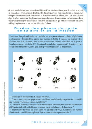 ©Dunod–Laphotocopienonautoriséeestundélit.
F I C H E 1 4 – L e c y c l e c e l l u l a i r e e t s o n c o n t r ô l e
14
71
de types cellulaires plus ou moins différenciés sont disponibles pour les chercheurs, 4)
la plupart des problèmes de Biologie Cellulaire peuvent être étudiés sur ce matériel, y
compris maintenant ceux concernant la différenciation cellulaire, que l’on peut déclen-
cher in vitro au moyen de diverses drogues, facteurs de croissance ou hormones. Leur
inconvénient majeur est qu’elles sont très onéreuses et qu’elles nécessitent un appa-
reillage sophistiqué et un savoir faire très élaboré.
D u r é e s d e s p h a s e s d u c y c l e
c e l l u l a i r e e t d e l a m i t o s e
Une étude du cycle cellulaire est conduite sur une population de cellules végétales en
prolifération : le méristème apical des racines de bulbe d’oignon. Ce territoire très
localisé peut être disséqué, fixé, écrasé et coloré de façon à visualiser les noyaux et
les chromosomes (cf. fiche 13). Voici quelques clichés représentatifs des divers types
de cellules rencontrées, ainsi que leurs pourcentages dans la population.
1. Identifiez et ordonnez les 8 stades observés.
2. Pensez-vous que cette population de cellules méristématiques puisse être considé-
rée comme synchrone, ou non synchrone ?
3. Comment utilisez-vous les valeurs numériques fournies pour évaluer la durée des
différents stades identifiables au cours du cycle cellulaire et de la mitose ?
4. Sachant que la durée du cycle dans ces cellules est de 25 h, calculez les valeurs
absolues de ces différentes phases. Quels commentaires peut-on faire ?
 