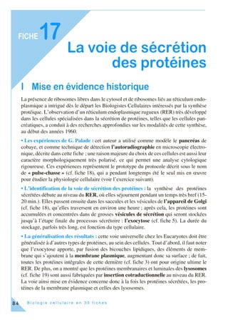 B i o l o g i e c e l l u l a i r e e n 3 0 f i c h e s
FICHE
84
17
La voie de sécrétion
des protéines
I Mise en évidence historique
La présence de ribosomes libres dans le cytosol et de ribosomes liés au réticulum endo-
plasmique a intrigué dès le départ les Biologistes Cellulaires intéressés par la synthèse
protéique. L’observation d’un réticulum endoplasmique rugueux (RER) très développé
dans les cellules spécialisées dans la sécrétion de protéines, telles que les cellules pan-
créatiques, a conduit à des recherches approfondies sur les modalités de cette synthèse,
au début des années 1960.
• Les expériences de G. Palade : cet auteur a utilisé comme modèle le pancréas de
cobaye, et comme technique de détection l’autoradiographie en microscopie électro-
nique, décrite dans cette fiche ; une raison majeure du choix de ces cellules est aussi leur
caractère morphologiquement très polarisé, ce qui permet une analyse cytologique
rigoureuse. Ces expériences représentent le prototype du protocole décrit sous le nom
de « pulse-chasse » (cf. fiche 18), qui a pendant longtemps été le seul mis en œuvre
pour étudier la physiologie cellulaire (voir l’exercice suivant).
• L’identification de la voie de sécrétion des protéines : la synthèse des protéines
sécrétées débute au niveau du RER, où elles séjournent pendant un temps très bref (15-
20 min.). Elles passent ensuite dans les saccules et les vésicules de l’appareil de Golgi
(cf. fiche 18), qu’elles traversent en environ une heure ; après cela, les protéines sont
accumulées et concentrées dans de grosses vésicules de sécrétion qui seront stockées
jusqu’à l’étape finale du processus sécrétoire : l’exocytose (cf. fiche 5). La durée du
stockage, parfois très long, est fonction du type cellulaire.
• La généralisation des résultats : cette voie universelle chez les Eucaryotes doit être
généralisée à d’autres types de protéines, au sein des cellules. Tout d’abord, il faut noter
que l’exocytose apporte, par fusion des bicouches lipidiques, des éléments de mem-
brane qui s’ajoutent à la membrane plasmique, augmentant donc sa surface ; de fait,
toutes les protéines intégrales de cette dernière (cf. fiche 3) ont pour origine ultime le
RER. De plus, on a montré que les protéines membranaires et luminales des lysosomes
(cf. fiche 19) sont aussi fabriquées par insertion cotraductionnelle au niveau du RER.
La voie ainsi mise en évidence concerne donc à la fois les protéines sécrétées, les pro-
téines de la membrane plasmique et celles des lysosomes.
 
