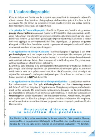 ©Dunod–Laphotocopienonautoriséeestundélit.
F I C H E 1 7 – L a v o i e d e s é c r é t i o n d e s p r o t é i n e s
17
85
II L’autoradiographie
Cette technique est fondée sur la propriété que possèdent les composés radioactifs
d’impressionner les émulsions photographiques (observation qui est à la base de leur
découverte !) ; elle permet de localiser avec une grande précision une espèce molécu-
laire radioactive située dans un support plan.
• Le principe de l’autoradiographie : il suffit de déposer une émulsion vierge ou une
plaque photographique en contact étroit avec l’échantillon plan contenant des molé-
cules radioactives et d’attendre (de quelques minutes à plusieurs jours) qu’une image
latente soit formée. Le traitement qui suit cette exposition est donc exactement le même
que celui appliqué au développement des films argentiques. La présence de grains
d’argent visibles dans l’émulsion traduit la présence de composés radioactifs situés
exactement au même niveau, dans le support.
• Les applications en Biologie Cellulaire : l’autoradiographie s’applique à des cou-
pes histologiques ou à des coupes ultrafines (en microscopie électronique), qui sont
alors recouvertes d’une émulsion sensible liquide. Le problème est que la résolution de
cette méthode est assez faible, dans la mesure où la taille des grains d’argent dépasse
celle de nombreuses ultrastructures cellulaires.
L’apport de cette méthode a été considérable historiquement pour toutes les études de
physiologie cellulaire qui étudiaient des phénomènes dynamiques, grâce au protocole
décrit sous le nom de « pulse-chasse » (cf. fiche 18). Cependant, cette technique est
aujourd’hui abandonnée, car largement dépassée par celle utilisant les protéines recom-
binées associées à la GFP (cf. fiche 28).
• Les applications en Biochimie et en Biologie moléculaire : la détection de molécu-
les radiomarquées sur des gels d’électrophorèse ou des chromatogrammes
(cf. fiches 9 et 22) se fait grâce à l’application de films photographiques posés directe-
ment sur les supports. De nombreuses expériences historiques (sur la photosynthèse,
par exemple) ont été réalisées au moyen de cette méthode, et toutes les techniques de
séquençage des acides nucléiques l’ont initialement utilisée. Actuellement, des appa-
reils sophistiqués de détection point par point de la radioactivité tendent à la remplacer,
de même que les traceurs radioactifs sont progressivement remplacés par des molécules
fluorescentes.
P r o t o c o l e d ’ é t u d e d e
l a s é c r é t i o n d e s p r o t é i n e s
La fibroïne est la protéine constitutive de la soie naturelle. Cette protéine fibreuse
remarquable est majoritairement fabriquée par les cellules des glandes séricigènes de
la larve du ver à soie ; elle est très riche en un acide aminé, la glycine (47 % du total).
 