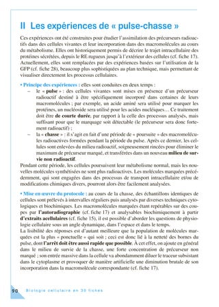 B i o l o g i e c e l l u l a i r e e n 3 0 f i c h e s90
II Les expériences de « pulse-chasse »
Ces expériences ont été construites pour étudier l’assimilation des précurseurs radioac-
tifs dans des cellules vivantes et leur incorporation dans des macromolécules au cours
du métabolisme. Elles ont historiquement permis de décrire le trajet intracellulaire des
protéines sécrétées, depuis le RE rugueux jusqu’à l’extérieur des cellules (cf. fiche 17).
Actuellement, elles sont remplacées par des expériences basées sur l’utilisation de la
GFP (cf. fiche 28), beaucoup plus sophistiquées au plan technique, mais permettant de
visualiser directement les processus cellulaires.
• Principe des expériences : elles sont conduites en deux temps :
– le « pulse » : des cellules vivantes sont mises en présence d’un précurseur
radioactif destiné à être spécifiquement incorporé dans certaines de leurs
macromolécules ; par exemple, un acide aminé sera utilisé pour marquer les
protéines, un nucléoside sera utilisé pour les acides nucléiques… Ce traitement
doit être de courte durée, par rapport à la celle des processus analysés, mais
suffisant pour que le marquage soit détectable (le précurseur sera donc forte-
ment radioactif) ;
– la « chasse » : il s’agit en fait d’une période de « poursuite » des macromolécu-
les radioactives formées pendant la période du pulse. Après ce dernier, les cel-
lules sont enlevées du milieu radioactif, soigneusement rincées pour éliminer le
maximum de précurseur marqué, et transférées dans un nouveau milieu de sur-
vie non radioactif.
Pendant cette période, les cellules poursuivent leur métabolisme normal, mais les nou-
velles molécules synthétisées ne sont plus radioactives. Les molécules marquées précé-
demment, qui sont engagées dans des processus de transport intracellulaire et/ou de
modifications chimiques divers, pourront alors être facilement analysées.
• Mise en œuvre du protocole : au cours de la chasse, des échantillons identiques de
cellules sont prélevés à intervalles réguliers puis analysés par diverses techniques cyto-
logiques et biochimiques. Les macromolécules marquées étant repérables sur des cou-
pes par l’autoradiographie (cf. fiche 17) et analysables biochimiquement à partir
d’extraits acellulaires (cf. fiche 15), il est possible d’aborder les questions de physio-
logie cellulaire sous un angle dynamique, dans l’espace et dans le temps.
La lisibilité des réponses est d’autant meilleure que la population de molécules mar-
quées est la plus « ponctuelle » qui soit ; ceci est donc lié à la netteté des bornes du
pulse, dont l’arrêt doit être aussi rapide que possible. À cet effet, on ajoute en général
dans le milieu de survie de la chasse, une forte concentration de précurseur non
marqué ; son entrée massive dans la cellule va abondamment diluer le traceur subsistant
dans le cytoplasme et provoquer de manière artificielle une diminution brutale de son
incorporation dans la macromolécule correspondante (cf. fiche 17).
 