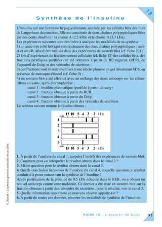 ©Dunod–Laphotocopienonautoriséeestundélit.
F I C H E 1 8 – L ’ a p p a r e i l d e G o l g i
18
91
S y n t h è s e d e l ’ i n s u l i n e
L’insuline est une hormone hypoglycémiante sécrétée par les cellules béta des îlots
de Langerhans du pancréas. Elle est constituée de deux chaînes polypeptidiques liées
par des ponts disulfure : la chaîne A (2,3 kDa) et la chaîne B (3,3 kDa).
Les expériences suivantes sont destinées à analyser les modalités de sa synthèse :
1) un anticorps a été fabriqué contre chacune des deux chaînes polypeptidiques : anti-
A et anti-B, afin d’être utilisés dans des expériences de western blot (cf. fiche 23) ;
2) lors d’expériences de fractionnement cellulaire (cf. fiche 15) des cellules béta, des
fractions protéiques purifiées ont été obtenues à partir du RE rugueux (RER), de
l’appareil de Golgi et des vésicules de sécrétion ;
3) ces fractions sont ensuite soumises à une électrophorèse en gel dénaturant SDS, en
présence de mercapto-éthanol (cf. fiche 9) ;
4) un western blot a été effectué avec un mélange des deux anticorps sur les échan-
tillons suivants, après électrophorèse :
canal 1 : insuline plasmatique (purifiée à partir du sang)
canal 2 : fraction obtenue à partir du RER
canal 3 : fraction obtenue à partir du Golgi
canal 4 : fraction obtenue à partir des vésicules de sécrétion
Le schéma suivant montre le résultat obtenu :
1. À partir de l’analyse du canal 1, rappeler l’intérêt des expériences de western blot.
2. Comment peut-on interpréter le résultat obtenu dans le canal 2 ?
3. Même question pour le résultat obtenu dans le canal 3.
4. Quelle conclusion tirez-vous de l’analyse du canal 4, et quelle question ce résultat
conduit-il à poser concernant la synthèse de l’insuline ?
Après purification de la protéine de 9,5 kDa détectée dans le RER, on a obtenu un
nouvel anticorps contre cette molécule. Ce dernier a été testé en western blot sur la
fraction obtenue à partir des vésicules de sécrétion ; pour le résultat, voir le canal 5.
5. Quelle information importante ce nouveau résultat apporte-t-il ?
6. À partir de toutes ces données, résumer les modalités de synthèse de l’insuline.
 