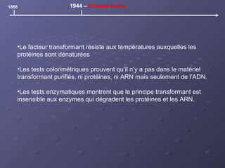 1866 1944 –  Oswald Avery Le facteur transformant résiste aux températures auxquelles les protéines sont dénaturées Les tests colorimétriques prouvent qu’il n’y a pas dans le matériel transformant purifiés, ni protéines, ni ARN mais seulement de l’ADN. Les tests enzymatiques montrent que le principe transformant est insensible aux enzymes qui dégradent les protéines et les ARN. 