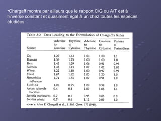 Chargaff montre par ailleurs que le rapport C/G ou A/T est à l'inverse constant et quasiment égal à un chez toutes les espèces étudiées.  