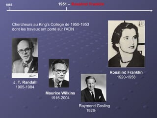 1866 1951 –  Rosalind Franklin Rosalind Franklin 1920-1958 Chercheurs au King’s College de 1950-1953 dont les travaux ont porté sur l’ADN J. T. Randall 1905-1984 Raymond Gosling 1926-  Maurice Wilkins 1916-2004 