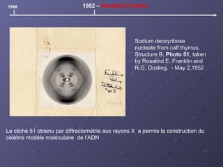 Sodium deoxyribose nucleate from calf thymus, Structure B,  Photo 51 , taken by Rosalind E. Franklin and R.G. Gosling.  - May 2,1952 1866 1952 –  Rosalind Franklin Le cliché 51 obtenu par diffractométrie aux rayons X  a permis la construction du célèbre modèle moléculaire  de l’ADN 
