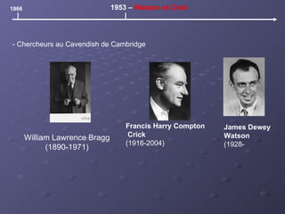 William Lawrence Bragg (1890-1971) 1866 1953 –  Watson et Crick Francis Harry Compton Crick   (1916-2004) James Dewey  Watson   (1928- - Chercheurs au Cavendish de Cambridge 