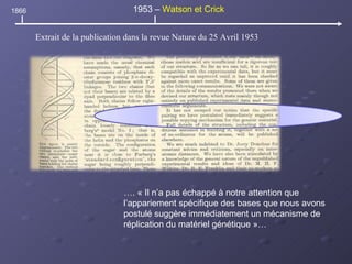 …. « Il n’a pas échappé à notre attention que l’appariement spécifique des bases que nous avons postulé suggère immédiatement un mécanisme de réplication du matériel génétique »… 1866 1953 –  Watson et Crick Extrait de la publication dans la revue Nature du 25 Avril 1953 