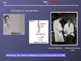 1866 1961 –  Nirenberg Décryptage du code génétique Heinrich Matthaei Marshall Nirenberg (1927 Nirenberg, prix Nobel de Médecine et de Physiologie en 1968 