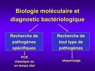 Biologie_moleculaire_CA.pdf
