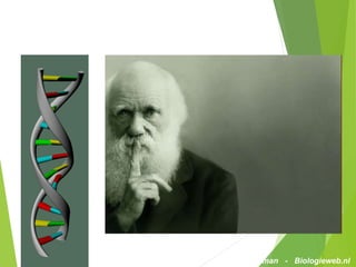 Biologie_powerpoint_Chromosomen_en_genen_[biologieweb] (1).pptx