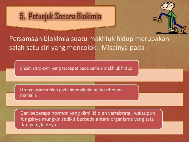Contoh Evolusi Biokimia - Toast Nuances Contoh Evolusi Biokimia - Toast Nuances