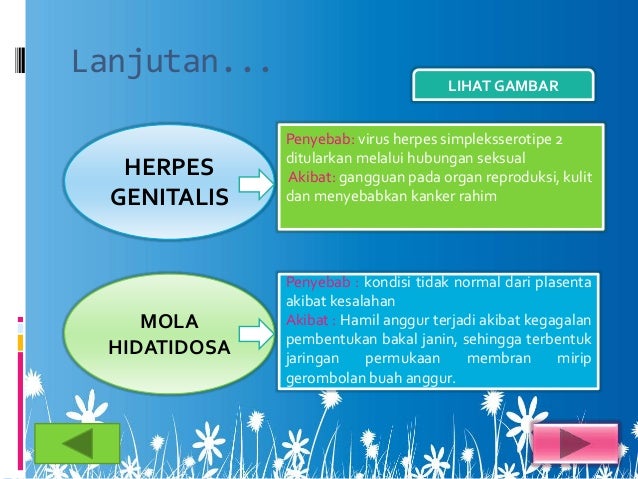 Biologi fertilisasi & perkembangan embrio(ppt1) copy