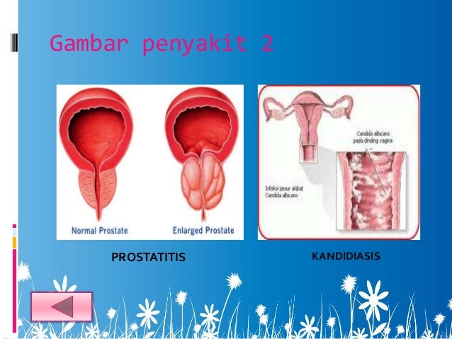 Biologi fertilisasi & perkembangan embrio(ppt1) copy