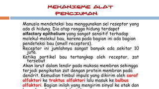 Manusia mendeteksi bau menggunakan sel reseptor yang
ada di hidung. Dia atap rongga hidung terdapat
olfactory epithelium yang sangat sensitif terhadap
molekul-molekul bau, karena pada bagian ini ada bagian
pendeteksi bau (smell receptors).
Receptor ini jumlahnya sangat banyak ada sekitar 10
juta.
Ketika partikel bau tertangkap oleh receptor, zat
tersebut
Akan larut dalam lendir pada mukosa membran sehingga
terjadi pengikatan zat dengan protein membran pada
dendrit. Kemudian timbul impuls yang dikirim oleh saraf
olfaktori ke traktus olfaktori lalu masuk ke bulbus
olfaktori. Bagian inilah yang mengirim sinyal ke otak dan
 