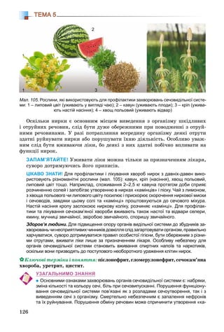 126
ТЕМА 5
Îñêіëüêè íèðêè є îñíîâíèì ìіñöåì âèâåäåííÿ ç îðãàíіçìó øêіäëèâèõ
і îòðóéíèõ ðå÷îâèí, ñëіä áóòè äóæå îáåðåæíèìè ïðè ïîâîäæåííі ç îòðóé-
íèìè ðå÷îâèíàìè. Ó ðàçі ïîòðàïëÿííÿ âñåðåäèíó îðãàíіçìó äåÿêі îòðóòè
çäàòíі ðóéíóâàòè íèðêè àáî ïîðóøóâàòè їõíþ äіÿëüíіñòü. Îñîáëèâî óâàæ-
íèì ñëіä áóòè âæèâàþ÷è ëіêè, áî äåÿêі ç íèõ çäàòíі ïîáі÷íî âïëèâàòè íà
ôóíêöії íèðîê.
ЗАПАМ’ЯТАЙТЕ! Óæèâàòè ëіêè ìîæíà òіëüêè çà ïðèçíà÷åííÿì ëіêàðÿ,
ñóâîðî äîòðèìóþ÷èñü éîãî ïðèïèñіâ.
ЦІКАВО ЗНАТИ! Для профілактики і лікування хвороб нирок з давніх-давен вико-
ристовують різноманітні рослини (мал. 105): кавун, кріп (насіння), хвощ польовий,
липовий цвіт тощо. Наприклад, споживання 2–2,5 кг кавуна протягом доби сприяє
розчиненню солей і запобігає утворенню в нирках «камінців» і піску. Чай з лимоном,
з хвоща польового чи липового цвіту посилює і прискорює скорочення ниркової миски
і сечоводів, завдяки цьому солі та «камінці» проштовхуються до сечового міхура.
Настій насіння кропу заспокоює ниркову коліку, розчиняє «камінці». Для профілак-
тики та лікування сечокам’яної хвороби вживають також настої та відвари селери,
кмину, мучниці звичайної, звіробою звичайного, споришу звичайного.
Здоров’я людини. Для підвищення опору органів видільної системи до збудників за-
хворюваньчинесприятливихчинниківдовкілляслідзагартовуватиорганізм,правильно
харчуватися, суворо дотримуватися правил особистої гігієни, бути обережним з різни-
ми отрутами, вживати ліки лише за призначенням лікаря. Особливу небезпеку для
органів сечовидільної системи становить вживання спиртних напоїв та наркотиків,
оскільки вони призводять до поступового необоротного ураження клітин нирок.
Êëþ÷îâі òåðìіíè і ïîíÿòòÿ: ïієëîíåôðèò, ãëîìåðóëîíåôðèò, ñå÷îêàì’ÿíà
õâîðîáà, óðåòðèò, öèñòèò.
УЗАГАЛЬНИМО ЗНАННЯ
Основними ознаками захворювань органів сечовидільної системи є: набряки,
зміна кількості та кольору сечі, біль при сечовипусканні. Порушення функціону-
вання сечовидільної системи пов’язані як з розладами сечоутворення, так і з
виведенням сечі з організму. Смертельно небезпечним є запалення нефронів
та їх руйнування. Порушення обміну речовин може спричинити утворення «ка-
Мал. 105. Рослини, які використовують для профілактики захворювань сечовидільної систе-
ми: 1 – липовий цвіт (уживають у вигляді чаю); 2 – кавун (уживають плоди); 3 – кріп (ужива-
ють настій насіння); 4 – хвощ польовий (уживають відвар)
2
3 41
 