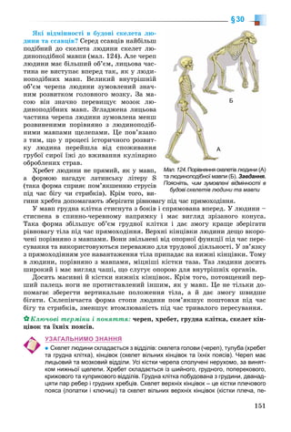 151
§30
ßêі âіäìіííîñòі â áóäîâі ñêåëåòà ëþ-
äèíè òà ññàâöіâ? Ñåðåä ññàâöіâ íàéáіëüø
ïîäіáíèé äî ñêåëåòà ëþäèíè ñêåëåò ëþ-
äèíîïîäіáíîї ìàâïè (ìàë. 124). Àëå ÷åðåï
ëþäèíè ìàє áіëüøèé îá’єì, ëèöüîâà ÷àñ-
òèíà íå âèñòóïàє âïåðåä òàê, ÿê ó ëþäè-
íîïîäіáíèõ ìàâï. Âåëèêèé âíóòðіøíіé
îá’єì ÷åðåïà ëþäèíè çóìîâëåíèé çíà÷-
íèì ðîçâèòêîì ãîëîâíîãî ìîçêó. Çà ìà-
ñîþ âіí çíà÷íî ïåðåâèùóє ìîçîê ëþ-
äèíîïîäіáíèõ ìàâï. Çãëàäæåíà ëèöüîâà
÷àñòèíà ÷åðåïà ëþäèíè çóìîâëåíà ìåíø
ðîçâèíåíèìè ïîðіâíÿíî ç ëþäèíîïîäіá-
íèìè ìàâïàìè ùåëåïàìè. Öå ïîâ’ÿçàíî
ç òèì, ùî ó ïðîöåñі іñòîðè÷íîãî ðîçâèò-
êó ëþäèíà ïåðåéøëà âіä ñïîæèâàííÿ
ãðóáîї ñèðîї їæі äî âæèâàííÿ êóëіíàðíî
îáðîáëåíèõ ñòðàâ.
Õðåáåò ëþäèíè íå ïðÿìèé, ÿê ó ìàâï,
à ôîðìîþ íàãàäóє ëàòèíñüêó ëіòåðó S
(òàêà ôîðìà ñïðèÿє ïîì’ÿêøåííþ ñòðóñіâ
ïіä ÷àñ áіãó ÷è ñòðèáêіâ). Êðіì òîãî, âè-
ãèíè õðåáòà äîïîìàãàþòü çáåðіãàòè ðіâíîâàãó ïіä ÷àñ ïðÿìîõîäіííÿ.
Ó ìàâï ãðóäíà êëіòêà ñòèñíóòà ç áîêіâ і ñïðÿìîâàíà âïåðåä. Ó ëþäèíè –
ñòèñíåíà â ñïèííî-÷åðåâíîìó íàïðÿìêó і ìàє âèãëÿä çðіçàíîãî êîíóñà.
Òàêà ôîðìà çáіëüøóє îá’єì ãðóäíîї êëіòêè і äàє çìîãó êðàùå çáåðіãàòè
ðіâíîâàãó òіëà ïіä ÷àñ ïðÿìîõîäіííÿ. Âåðõíі êіíöіâêè ëþäèíè äåùî âêîðî-
÷åíі ïîðіâíÿíî ç ìàâïàìè. Âîíè çâіëüíåíі âіä îïîðíîї ôóíêöії ïіä ÷àñ ïåðå-
ñóâàííÿ òà âèêîðèñòîâóþòüñÿ ïåðåâàæíî äëÿ òðóäîâîї äіÿëüíîñòі. Ó çâ’ÿçêó
ç ïðÿìîõîäіííÿì óñå íàâàíòàæåííÿ òіëà ïðèïàäàє íà íèæíі êіíöіâêè. Òîìó
â ëþäèíè, ïîðіâíÿíî ç ìàâïàìè, ìіöíіøі êіñòêè òàçà. Òàç ëþäèíè äîñèòü
øèðîêèé і ìàє âèãëÿä ÷àøі, ùî ñëóãóє îïîðîþ äëÿ âíóòðіøíіõ îðãàíіâ.
Äîñèòü ìàñèâíі é êіñòêè íèæíіõ êіíöіâîê. Êðіì òîãî, ïîòîâùåíèé ïåð-
øèé ïàëåöü íîãè íå ïðîòèñòàâëåíèé іíøèì, ÿê ó ìàâï. Öå íå òіëüêè äî-
ïîìàãàє çáåðåãòè âåðòèêàëüíå ïîëîæåííÿ òіëà, à é äàє çìîãó øâèäøå
áіãàòè. Ñêëåïіí÷àñòà ôîðìà ñòîïè ëþäèíè ïîì’ÿêøóє ïîøòîâõè ïіä ÷àñ
áіãó òà ñòðèáêіâ, çìåíøóє âòîìëþâàíіñòü ïіä ÷àñ òðèâàëîãî ïåðåñóâàííÿ.
Êëþ÷îâі òåðìіíè і ïîíÿòòÿ: ÷åðåï, õðåáåò, ãðóäíà êëіòêà, ñêåëåò êіí-
öіâîê òà їõíіõ ïîÿñіâ.
УЗАГАЛЬНИМО ЗНАННЯ
Скелет людини складається з відділів: скелета голови (череп), тулуба (хребет
та грудна клітка), кінцівок (скелет вільних кінцівок та їхніх поясів). Череп має
лицьовий та мозковий відділи. Усі кістки черепа сполучені нерухомо, за винят-
ком нижньої щелепи. Хребет складається із шийного, грудного, поперекового,
крижового та куприкового відділів. Грудна клітка побудована з грудини, дванад-
цяти пар ребер і грудних хребців. Скелет верхніх кінцівок – це кістки плечового
пояса (лопатки і ключиці) та скелет вільних верхніх кінцівок (кістки плеча, пе-
Мал. 124. Порівняння скелетів людини (А)
та людиноподібної мавпи (Б). Завдання.
Поясніть, чим зумовлені відмінності в
будові скелетів людини та мавпи
А
Б
 