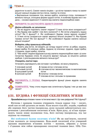 152
ТЕМА 6
редпліччя та кисті). Скелет нижніх кінцівок – це кістки тазового пояса та скелет
вільної нижньої кінцівки (кістки стегна, гомілки та стопи).
Вертикальне положення тіла, вигини хребта, склепіння стопи, положення її
великого пальця, сплощена форма грудної клітки, й особливо будова кисті лю-
дини, – основні відмінності її скелета від скелета людиноподібних мавп.
ПЕРЕВІРТЕ ТА ЗАСТОСУЙТЕ ЗДОБУТІ ЗНАННЯ
Дайте відповідь на запитання
1. На які відділи поділяють скелет людини? З яких кісток вони складаються?
2. Яку будову має хребет і яке його значення? 3. Які кістки утворюють грудну
клітку? Які її функції? 4. Які особливості будови пояса верхніх кінцівок?
5. З яких кісток складається скелет верхньої вільної кінцівки? 6. Яка будова
тазових кісток? Які їхні функції? 7. Які особливості будови скелета нижньої
вільної кінцівки?
Виберіть одну правильну відповідь
1. Укажіть ряд кісток, які входять до складу грудної клітки: а) ребра, грудина,
грудні хребці; б) ключиця, ребра, грудина; в) ключиця, грудина, грудні хребці;
г) грудина, грудні хребці, лопатка.
2. Чим скелет людини відрізняється від скелета людиноподібних мавп: а) скле-
пінчастою будовою стопи; б) кількістю фаланг пальців; в) кількістю шийних
хребців; г) розташуванням великого пальця рук?
Утворіть логічні пари
Установіть відповідність між кістками і суглобами, які вони утворюють.
1 плечовий суглоб
2 ліктьовий суглоб
3 кульшовий суглоб
4 колінний суглоб
А тазова кістка і стегнова кістка
Б стегнова кістка і великогомілкова та малогомілкова
кістки
В лопатка і плечова кістка
Г плечова кістка і ліктьова та променева
ОБГОВОРІТЬ У ГРУПАХ. Охарактеризуйте функції різних відділів скелета
людини.
ПОМІРКУЙТЕ. Чому стопа людини має склепінчасту будову і яке це має зна-
чення?
§31. ÁÓÄÎÂÀ І ÔÓÍÊÖІЇ ÑÊÅËÅÒÍÈÕ Ì’ßÇІÂ
Пригадайте види м’язових тканин та їхні властивості. Що таке діафрагма? Які її функції?е
Êіñòêîâà і õðÿùîâà òêàíèíà óòâîðþþòü òіëüêè êàðêàñ òіëà – ñêåëåò,
ÿêèé ñàì ïî ñîáі ðóõàòèñü íå ìîæå. Ðóõè âñüîãî òіëà (áіã, õîäüáà, ñòðèáêè)
àáî îêðåìèõ éîãî ÷àñòèí (íàïðèêëàä, ðóõè ïàëüöіâ) çàáåçïå÷óþòüñÿ ñêî-
ðî÷åííÿì і ðîçñëàáëåííÿì ñêåëåòíèõ ì’ÿçіâ. Êðіì ðóõó, öі ì’ÿçè ïіäòðè-
ìóþòü òàêîæ ïåâíå ïîëîæåííÿ òіëà, éîãî ïîñòàâó (íàïðèêëàä, ïіä ÷àñ
ñèäіííÿ ÷è ñòîÿííÿ).
ßêі îñîáëèâîñòі áóäîâè ñêåëåòíèõ ì’ÿçіâ? ßê âè ïàì’ÿòàєòå, ñêåëåòíі
ì’ÿçè íàëåæàòü äî ïîñìóãîâàíèõ. Áóäü-ÿêèé ñêåëåòíèé ì’ÿç óòâîðåíèé
ãðóïàìè âèäîâæåíèõ ì’ÿçîâèõ êëіòèí – âîëîêîí, çіáðàíèõ ó ïó÷êè
і ç’єäíàíèõ ìіæ ñîáîþ ïðîøàðêàìè ñïîëó÷íîї òêàíèíè (ìàë. 125). Ñïî-
 