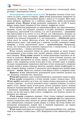 154
ТЕМА 6
êðîâîíîñíîї ñèñòåìè. Îòæå, ó ì’ÿçàõ âіäáóâàєòüñÿ іíòåíñèâíèé îáìіí
ðå÷îâèí і ïåðåòâîðåííÿ åíåðãії.
ßêі ðîçðіçíÿþòü îñíîâíі ãðóïè ì’ÿçіâ? Çà ôîðìîþ ñêåëåòíі ì’ÿçè ïîäі-
ëÿþòü íà äîâãі, êîðîòêі é øèðîêі. Äîâãі ì’ÿçè ðîçòàøîâàíі ïåðåâàæíî íà
êіíöіâêàõ. Âîíè âåðåòåíîïîäіáíîї ôîðìè і ìàþòü 2–4 ãîëîâêè. Ìіæ îêðå-
ìèìè ðåáðàìè, õðåáöÿìè ÷è ó ãëèáîêèõ øàðàõ áіëÿ õðåáòà ðîçòàøîâàíі
êîðîòêі ì’ÿçè. Øèðîêі ì’ÿçè ðîçìіùåíі ïåðåâàæíî íà òóëóáі é ìàþòü
ôîðìó øàðіâ ðіçíîї òîâùèíè (ì’ÿçè æèâîòà, äіàôðàãìà òîùî).
Ì’ÿçè íàé÷àñòіøå ðîçðіçíÿþòü çà õàðàêòåðîì ðîáîòè, ÿêó âîíè âèêîíóþòü.
Çîêðåìà, ì’ÿçè, ÿêі çãèíàþòü êіíöіâêó â ñóãëîáі, íàçèâàþòü çãèíà÷àìè
(íàïðèêëàä, äâîãîëîâèé ì’ÿç ïëå÷à), à òі, ÿêі її ðîçãèíàþòü, – ðîçãèíà÷à-
ìè (òðèãîëîâèé ì’ÿç ïëå÷à òà іí.). Ì’ÿçè, ÿêі íàáëèæóþòü êіíöіâêó äî
ñåðåäèííîї ëіíії òіëà, íàçèâàþòü ïðèâіäíèìè (íàïðèêëàä, âåëèêèé ïðè-
âіäíèé ì’ÿç íèæíüîї êіíöіâêè), à òі, ÿêі âіääàëÿþòü, – âіäâіäíèìè (äåÿêі
ì’ÿçè êèñòі òà ñòîïè). Äåêіëüêà ì’ÿçіâ, ÿêі âèêîíóþòü ñïіëüíó ðîáîòó,
çàáåçïå÷óþ÷è îäèí і òîé ñàìèé ðóõ ó ïåâíîìó ñóãëîáі, íàçèâàþòü ñèíåð-
ãіñòàìè, à ì’ÿçè ïðîòèëåæíîї ãðóïè – àíòàãîíіñòàìè. Íàïðèêëàä,
ì’ÿçè, ÿêі ñïіëüíîþ äієþ çãèíàþòü ïåðåäïëі÷÷ÿ, є ñèíåðãіñòàìè, à òі, ùî
éîãî ðîçãèíàþòü, – їõíіìè àíòàãîíіñòàìè.
Ì’ÿçè ëþäèíè ïîäіëÿþòü òàêîæ íà ãðóïè âіäïîâіäíî äî ìіñöÿ їõíüîãî
ðîçòàøóâàííÿ: ì’ÿçè ãîëîâè, øèї, ãðóäåé, æèâîòà, ñïèíè, âåðõíüîї òà íèæ-
íüîї êіíöіâîê. Ì’ÿçè ãîëîâè ëþäèíè çà ñâîїìè ôóíêöіÿìè ïîäіëÿþòü íà ìі-
ìі÷íі òà æóâàëüíі. Ìіìі÷íі ì’ÿçè – òîíåíüêі ïó÷êè ì’ÿçîâèõ âîëîêîí, ÿêі
îäíèì êіíöåì ïðèêðіïëåíі äî êіñòîê ÷åðåïà, à іíøèì – óïëåòåíі â øêіðó.
Äåÿêі ç íèõ, íàïðèêëàä êîëîâі ì’ÿçè ðîòà é îêà, çâ’ÿçàíі ëèøå çі øêіðîþ.
Ñêëàäíî ñêîîðäèíîâàíі ñêîðî÷åííÿ ìіìі÷íèõ ì’ÿçіâ çóìîâëþþòü óòâîðåííÿ
ñêëàäîê øêіðè â ðіçíèõ äіëÿíêàõ îáëè÷÷ÿ, íàäàþòü ïåâíîї êîíôіãóðàöії ãó-
áàì, íіçäðÿì, áðîâàì, ïîâіêàì. Ó ðåçóëüòàòі öüîãî ôîðìóєòüñÿ ïåâíèé âèðàç
îáëè÷÷ÿ – ìіìіêà. Êðіì òîãî, ìіìі÷íі ì’ÿçè áåðóòü ó÷àñòü â óòâîðåííі ìîâè.
Æóâàëüíі ì’ÿçè çàáåçïå÷óþòü ðіçíîìàíіòíі ðóõè íèæíüîї ùåëåïè ïіä
÷àñ æóâàííÿ, êîâòàííÿ їæі, ìîâëåííÿ.
Ì’ÿçè øèї ïðèâîäÿòü ó ðóõ ãîëîâó (ïîâåðòàþòü, íàõèëÿþòü òîùî) òà øèþ.ї
Ì’ÿçè òóëóáà ñêëàäàþòüñÿ ç ì’ÿçіâ ãðóäåé, ñïèíè і æèâîòà (ìàë. 127).
Ì’ÿçè ãðóäåé ïîäіëÿþòü íà ì’ÿçè, ÿêі îäíèì êіíöåì ïðèєäíàíі äî ãðóäíîї
êëіòêè, à äðóãèì – äî êіñòîê ïëå÷îâîãî ïîÿñà і âåðõíіõ êіíöіâîê, òà âëàñíå
ãðóäíі ì’ÿçè. Ïåðøà ãðóïà ì’ÿçіâ ðóõàє êіñòêè ïëå÷îâîãî ïîÿñà і âіëüíîї
âåðõíüîї êіíöіâêè (âåëèêèé і ìàëèé ãðóäíі ì’ÿçè). Äðóãà ãðóïà (çîâíіøíі
і âíóòðіøíі ìіæðåáåðíі ì’ÿçè) çàáåçïå÷óє äèõàëüíі ðóõè. Ó äèõàëüíèõ
ðóõàõ, ÿê âè âæå çíàєòå, áåðå ó÷àñòü і äіàôðàãìà, ÿêà âіääіëÿє ãðóäíó ïî-
ðîæíèíó âіä ÷åðåâíîї.
Ì’ÿçè æèâîòà óòâîðþþòü ïåðåäíþ і áі÷íі ñòіíêè ÷åðåâíîї ïîðîæíèíè.
Ñóêóïíіñòü ì’ÿçіâ ñòіíêè æèâîòà ìàє íàçâó ÷åðåâíèé ïðåñ (çà îäíî÷àñíîãî
їõíüîãî ñêîðî÷åííÿ âîíè òèñíóòü íà îðãàíè ÷åðåâíîї ïîðîæíèíè). Âîíè òà-
êîæ çàáåçïå÷óþòü çãèíàííÿ òóëóáà âïåðåä òà â áîêè. Öі ì’ÿçè ñâîїìè ñêî-
ðî÷åííÿìè ïіäòðèìóþòü ïåâíèé òèñê ó ÷åðåâíіé ïîðîæíèíі, ùî ñïðèÿє
ïіäòðèìàííþ îðãàíіâ ó ñòàëîìó ïîëîæåííі.
Ì’ÿçè ñïèíè ïîäіëÿþòü íà ïîâåðõíåâі (òðàïåöієïîäіáíèé ì’ÿç, íàéøèð-
øèé ì’ÿç ñïèíè) і ãëèáîêі (ìàë. 127). Ïîâåðõíåâі ì’ÿçè çàáåçïå÷óþòü ðóõè
 