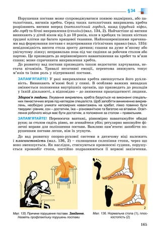 165
§34
Ïîðóøåííÿ ïîñòàâè ìîæå ñóïðîâîäæóâàòèñÿ ïîÿâîþ íàäìіðíèõ, àáî ïà-
òîëîãі÷íèõ, âèãèíіâ õðåáòà. Ñåðåä òàêèõ ïàòîëîãі÷íèõ âèêðèâëåíü õðåáòà
ðîçðіçíÿþòü âèãèíè âïåðåä (ïàòîëîãі÷íèé ëîðäîç), íàçàä (ãðóäíèé êіôîç,
àáî ãîðá) òà áі÷íі âèêðèâëåííÿ (ñêîëіîç) (ìàë. 134, 2). Íàé÷àñòіøå öі âèãèíè
âèíèêàþòü ó äіòåé âіêîì âіä 5 äî 10 ðîêіâ, êîëè â õðåáöÿõ òà іíøèõ êіñòêàõ
ãðóäíîї êëіòêè ùå áàãàòî õðÿùîâîї òêàíèíè. Íàéïîøèðåíіøèìè ïðè÷èíà-
ìè âàä ôîðìóâàííÿ ïîñòàâè є íåäîòðèìàííÿ ãіãієíі÷íèõ ïðàâèë (ìàë. 135):
íåâіäïîâіäíіñòü âèñîòè ñòîëà çðîñòó äèòèíè; ñïàííÿ íà äóæå ì’ÿêîìó àáî
óâіãíóòîìó ëіæêó; íåïðàâèëüíà ïîçà ïіä ÷àñ ñèäіííÿ çà ðîáî÷èì ñòîëîì àáî
ïàðòîþ. Öå ïðèçâîäèòü äî íåðіâíîìіðíîãî íàâàíòàæåííÿ íà õðåáåò òà ì’ÿçè
ñïèíè; ìîæå ñïðè÷èíèòè âèêðèâëåííÿ õðåáòà.
Äî ðîçâèòêó âàä ïîñòàâè ïðèçâîäÿòü òàêîæ íåäîñòàòíє õàð÷óâàííÿ, íå-
ñòà÷à âіòàìіíіâ. Òðèâàëі íåãàòèâíі åìîöії, ïåðåâòîìà çíèæóþòü òîíóñ
ì’ÿçіâ òà їõíþ ðîëü ó ïіäòðèìàííі ïîñòàâè.
ЗАПАМ’ЯТАЙТЕ! Ó ðàçі âèêðèâëåííÿ õðåáòà çìåíøóєòüñÿ éîãî ðóõëè-
âіñòü. Âèíèêàþòü ì’ÿçîâі áîëі ó ñïèíі. Â îñîáëèâî âàæêèõ âèïàäêàõ
çìіíþєòüñÿ ïîëîæåííÿ âíóòðіøíіõ îðãàíіâ, ùî ïðèçâîäèòü äî ðîçëàäіâ
ó їõíіé äіÿëüíîñòі, à âіäïîâіäíî – äî çíèæåííÿ ïðàöåçäàòíîñòі ëþäèíè.
Здоров’я людини. Лікування викривлень хребта базується на виконанні спеціаль-
них гімнастичних вправ під наглядом спеціаліста. Щоб запобігти виникненню викрив-
лень, необхідно уникати непомірних навантажень на хребет, ліжко повинно бути
твердим і рівним, сон – достатнім, їжа – різноманітною та багатою на вітаміни. Освіт-
лення робочого місця має бути достатнім, а положення за столом – правильним.
ЗАПАМ’ЯТАЙТЕ! Ïåðåíîñÿ÷è âàíòàæі, ðіâíîìіðíî íàâàíòàæóéòå îáèäâі
ðóêè; çà ñòîëîì ñèäіòü ðіâíî, íå çãèíàéòåñÿ óáіê; ðåãóëÿðíî âèêîíóéòå ôі-
çè÷íі âïðàâè äëÿ ïîëіïøåííÿ ïîñòàâè. Âàæëèâî ïàì’ÿòàòè: çàïîáіãòè ïî-
ðóøåííÿì ïîñòàâè ëåãøå, íіæ їõ óñóíóòè.
Äî âàä ðîçâèòêó îïîðíî-ðóõîâîї ñèñòåìè â äèòÿ÷îìó âіöі íàëåæèòü
і ïëîñêîñòîïіñòü (ìàë. 136, 2) – ñïëþùåííÿ ñêëåïіííÿ ñòîïè, ÷åðåç ùî
âîíî çìåíøóєòüñÿ. ßê íàñëіäîê, ñòèñêóþòüñÿ êðîâîíîñíі ñóäèíè, ïîðóøó-
єòüñÿ êðîâîîáіã ñòîïè, ïîñòіéíî ïîäðàçíþþòüñÿ її íåðâîâі çàêіí÷åííÿ.
Мал. 135. Причини порушення постави. Завдання.
Назвіть профілактику порушень постави
Мал. 136. Нормальна стопа (1), плос-
костопість (2)
1
2
 