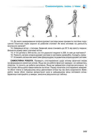 169
А Б В
13. До якого захворювання опорно-рухової системи може призвести постійне пору-
шення гігієнічних норм сидіння за робочим столом? Як воно впливає на діяльність
внутрішніх органів?
14. Найдовша кістка – стегнова. Зазвичай, вона становить до 25 % від зросту людини.
Визначте розмір своєї стегнової кістки.
15. У тілі дитини є 300 кісток, а в тілі дорослої людини їх 206. Із чим це пов’язано?
16. Поясніть зв’язок опорно-рухової системи із системою кровообігу. Складіть схему.
17. Установіть зв’язок між заняттями фізкультурою та розвитком опорно-рухової системи.
САМОСТІЙНА РОБОТА. Проведіть спостереження щодо впливу фізичних вправ
на формування скелетних м’язів. Якщо ви не робите фізичної зарядки і не займаєтесь
спортом, то почніть це робити регулярно. Якщо ви займаєтеся спортом регулярно, то
поступово збільшуйте навантаження на м’язи. Перед початком спостережень виміряй-
те обсяг плеча в найширшому місці двоголового м’яза під час його скорочення. Вимі-
ряйте також обсяг гомілки випростаної ноги в найширшому місці литкового м’яза.
Щомісяця повторюйте ці виміри, заносячи результати до таблиці.
Самоконтроль знань з теми
 