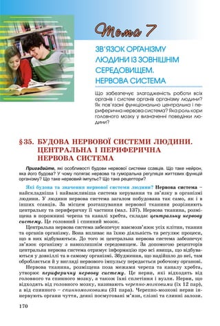 170
§35. ÁÓÄÎÂÀ ÍÅÐÂÎÂÎЇ ÑÈÑÒÅÌÈ ËÞÄÈÍÈ.
ÖÅÍÒÐÀËÜÍÀ І ÏÅÐÈÔÅÐÈ×ÍÀ
ÍÅÐÂÎÂÀ ÑÈÑÒÅÌÀ
Пригадайте, які особливості будови нервової системи ссавців. Що таке нейрон,
яка його будова? У чому полягає нервова та гуморальна регуляція життєвих функцій
організму? Що таке нервовий імпульс? Що таке рецептори?
ßêі áóäîâà òà çíà÷åííÿ íåðâîâîї ñèñòåìè ëþäèíè? Íåðâîâà ñèñòåìà –
íàéñêëàäíіøà і íàéâàæëèâіøà ñèñòåìà êåðóâàííÿ òà çâ’ÿçêó â îðãàíіçìі
ëþäèíè. Ó ëþäèíè íåðâîâà ñèñòåìà çàãàëîì ïîáóäîâàíà òàê ñàìî, ÿê і â
іíøèõ ññàâöіâ. Çà ìіñöåì ðîçòàøóâàííÿ íåðâîâîї òêàíèíè ðîçðіçíÿþòü
öåíòðàëüíó òà ïåðèôåðè÷íó її ÷àñòèíè (ìàë. 137). Íåðâîâà òêàíèíà, ðîçìі-
ùåíà â ïîðîæíèíі ÷åðåïà òà êàíàëі õðåáòà, ñêëàäàє öåíòðàëüíó íåðâîâó
ñèñòåìó. Öå ãîëîâíèé і ñïèííèé ìîçîê.
Öåíòðàëüíà íåðâîâà ñèñòåìà çàáåçïå÷óє âçàєìîçâ’ÿçîê óñіõ êëіòèí, òêàíèí
òà îðãàíіâ îðãàíіçìó. Âîíà âïëèâàє íà їõíþ äіÿëüíіñòü òà ðåãóëþє ïðîöåñè,
ùî â íèõ âіäáóâàþòüñÿ. Äî òîãî æ öåíòðàëüíà íåðâîâà ñèñòåìà çàáåçïå÷óє
çâ’ÿçîê îðãàíіçìó ç íàâêîëèøíіì ñåðåäîâèùåì. Çà äîïîìîãîþ ðåöåïòîðіâ
öåíòðàëüíà íåðâîâà ñèñòåìà îòðèìóє іíôîðìàöіþ ïðî âñі ÿâèùà, ùî âіäáóâà-
þòüñÿ ó äîâêіëëі òà â ñàìîìó îðãàíіçìі. Çáóäæåííÿ, ùî íàäіéøëî äî íåї, òàì
îáðîáëÿєòüñÿ é ó âèãëÿäі íåðâîâîãî іìïóëüñó ïåðåäàєòüñÿ ðîáî÷îìó îðãàíîâі.
Íåðâîâà òêàíèíà, ðîçìіùåíà ïîçà ìåæàìè ÷åðåïà òà êàíàëó õðåáòà,
óòâîðþє ïåðèôåðè÷íó íåðâîâó ñèñòåìó. Öå íåðâè, ÿêі âіäõîäÿòü âіä
ãîëîâíîãî òà ñïèííîãî ìîçêó, à òàêîæ їõíі ñïëåòіííÿ і âóçëè. Íåðâè, ùî
âіäõîäÿòü âіä ãîëîâíîãî ìîçêó, íàçèâàþòü ÷åðåïíî-ìîçêîâèìè (їõ 12 ïàð),
à âіä ñïèííîãî – ñïèííîìîçêîâèìè (31 ïàðà). ×åðåïíî-ìîçêîâі íåðâè іí-
íåðâóþòü îðãàíè ÷óòòÿ, äåÿêі ïîñìóãîâàíі ì’ÿçè, ñëіçíі òà ñëèííі çàëîçè.
Ùî çàáåçïå÷óє çëàãîäæåíіñòü ðîáîòè âñіõ
îðãàíіâ і ñèñòåì îðãàíіâ îðãàíіçìó ëþäèíè?
ßê ïîâ’ÿçàíі ôóíêöіîíàëüíî öåíòðàëüíà і ïå-
ðèôåðè÷íà íåðâîâà ñèñòåìà? ßêà ðîëü êîðè
ãîëîâíîãî ìîçêó ó âèçíà÷åííі ïîâåäіíêè ëþ-
äèíè?
Òåìà 7
ÇÂ’ßÇÎÊ ÎÐÃÀÍІÇÌÓÇÂ’ßÇÎÊ ÎÐÃÀÍІÇÌÓ
ËÞÄÈÍÈ ІÇ ÇÎÂÍІØÍІÌËÞÄÈÍÈ ІÇ ÇÎÂÍІØÍІÌ
ÑÅÐÅÄÎÂÈÙÅÌ.ÑÅÐÅÄÎÂÈÙÅÌ.
ÍÅÐÂÎÂÀ ÑÈÑÒÅÌÀÍÅÐÂÎÂÀ ÑÈÑÒÅÌÀ
 