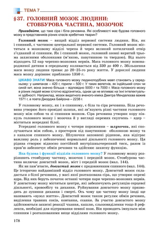 178
ТЕМА 7
§37. ÃÎËÎÂÍÈÉ ÌÎÇÎÊ ËÞÄÈÍÈ:
ÑÒÎÂÁÓÐÎÂÀ ×ÀÑÒÈÍÀ, ÌÎÇÎ×ÎÊ
Пригадайте, що таке сіра і біла речовина. Які особливості має будова головного
мозку в представників різних класів хребетних тварин?
Ãîëîâíèé ìîçîê – âèùèé âіääіë íåðâîâîї ñèñòåìè ëþäèíè. Âіí, ÿê
і ñïèííèé, є ÷àñòèíîþ öåíòðàëüíîї íåðâîâîї ñèñòåìè. Ãîëîâíèé ìîçîê ìіñ-
òèòüñÿ â ìîçêîâîìó âіääіëі ÷åðåïà é ÷åðåç âåëèêèé ïîòèëè÷íèé îòâіð
ç’єäíàíèé çі ñïèííèì. ßê і ñïèííèé ìîçîê, ãîëîâíèé ççîâíі âêðèòèé òðüî-
ìà çàõèñíèìè îáîëîíêàìè (ì’ÿêîþ, ïàâóòèííîþ òà òâåðäîþ). Âіä íüîãî
âіäõîäÿòü 12 ïàð ÷åðåïíî-ìîçêîâèõ íåðâіâ. Ìàñà ãîëîâíîãî ìîçêó íîâîíà-
ðîäæåíîї äèòèíè â ñåðåäíüîìó êîëèâàєòüñÿ âіä 330 äî 400 ã. Çáіëüøåííÿ
ìàñè ìîçêó ëþäèíè òðèâàє äî 20–25-ãî ðîêó æèòòÿ. Ó äîðîñëîї ëþäèíè
ìàñà ìîçêó äîðіâíþє ïðèáëèçíî 1350 ã.
ЦІКАВО ЗНАТИ! Маса головного мозку людиноподібних мавп становить у серед-
ньому: у шимпанзе – 420 г, горили – 500 г. У таких велетнів, як індійський слон чи
синій кит, вона значно більша – відповідно 5000 г та 7000 г. Маса головного мозку
в різних людей може істотно відрізнятись, однак це не впливає на їхні інтелектуаль-
ні здібності. Наприклад, мозок видатного вченого-хіміка Дмитра Менделєєва важив
1571 г, а поета Джорджа Байрона – 2238 г.
Ó ãîëîâíîìó ìîçêó, ÿê і â ñïèííîìó, є áіëà òà ñіðà ðå÷îâèíà. Áіëà ðå÷î-
âèíà óòâîðþє éîãî ïðîâіäíі øëÿõè, ÿêі çâ’ÿçóþòü ðіçíі ÷àñòèíè ãîëîâíîãî
ìîçêó ìіæ ñîáîþ òà çі ñïèííèì ìîçêîì. Ñіðà ðå÷îâèíà óòâîðþє êîðó ïіâ-
êóëü ãîëîâíîãî ìîçêó і ìîçî÷êà é ó âèãëÿäі îêðåìèõ ñêóï÷åíü – ÿäåð –
ìіñòèòüñÿ âñåðåäèíі áіëîї.
Óñåðåäèíі ãîëîâíîãî ìîçêó є ÷îòèðè ïîðîæíèíè – øëóíî÷êè, ÿêі ñïî-
ëó÷àþòüñÿ ìіæ ñîáîþ, ç ïðîñòîðîì ïіä ïàâóòèííîþ îáîëîíêîþ ìîçêó òà
ç êàíàëîì ñïèííîãî ìîçêó. Øëóíî÷êè çàïîâíåíі ðіäèíîþ, ÿêà âіäіãðàє
âàæëèâó ðîëü ó çàáåçïå÷åííі íîðìàëüíîї äіÿëüíîñòі ãîëîâíîãî ìîçêó. Öÿ
ðіäèíà ñòâîðþє âіäíîñíî ïîñòіéíèé âíóòðіøíüî÷åðåïíèé òèñê, ðàçîì іç
êðîâ’þ çàáåçïå÷óє îáìіí ðå÷îâèí òà çäіéñíþє çàõèñíó ôóíêöіþ.
ßêà áóäîâà і ôóíêöії âіääіëіâ ãîëîâíîãî ìîçêó? Ó ãîëîâíîìó ìîçêó ðîç-
ðіçíÿþòü ñòîâáóðîâó ÷àñòèíó, ìîçî÷îê і ïåðåäíіé ìîçîê. Ñòîâáóðîâà ÷àñ-
òèíà âêëþ÷àє äîâãàñòèé ìîçîê, ìіñò і ñåðåäíіé ìîçîê (ìàë. 144).
ßê âè ïàì’ÿòàєòå, äîâãàñòèé ìîçîê є ïðîäîâæåííÿì ñïèííîãî (ìàë. 144).
Öå іñòîðè÷íî íàéäàâíіøèé âіääіë ãîëîâíîãî ìîçêó. Äîâãàñòèé ìîçîê ñêëà-
äàєòüñÿ ç áіëîї ðå÷îâèíè, ó ìàñі ÿêîї ðîçòàøîâàíà ñіðà, ùî óòâîðþє îêðåìі
ÿäðà. Âіä íèõ áåðóòü ïî÷àòîê îñòàííі ÷îòèðè ïàðè ÷åðåïíî-ìîçêîâèõ íåðâіâ.
Ó äîâãàñòîìó ìîçêó ìіñòÿòüñÿ öåíòðè, ÿêі çàáåçïå÷óþòü ðåãóëÿöіþ ñåðöåâîї
äіÿëüíîñòі, êðîâîîáіãó òà äèõàííÿ. Ðóéíóâàííÿ äîâãàñòîãî ìîçêó ïðèçâî-
äèòü äî çóïèíêè äèõàííÿ і ñìåðòі. Îñü ÷îìó öþ ÷àñòèíó ìîçêó іíîäі ùå
íàçèâàþòü «âóçîë æèòòÿ». Äîâãàñòèé ìîçîê òàêîæ ðåãóëþє îáìіí ðå÷îâèí,
âèäіëåííÿ òðàâíèõ ñîêіâ, êîâòàííÿ, ññàííÿ. Çà ó÷àñòþ äîâãàñòîãî ìîçêó
çäіéñíþþòüñÿ çàõèñíі ðåàêöії ÷õàííÿ, êàøëþ, ñëüîçîâèäіëåííÿ òîùî é ðåô-
ëåêñè, íåîáõіäíі äëÿ ïіäòðèìàííÿ ïåâíîї ïîçè. Âіí ïðîâîäèòü іìïóëüñè ìіæ
ñïèííèì і ðîçòàøîâàíèìè âèùå âіääіëàìè ãîëîâíîãî ìîçêó.
 