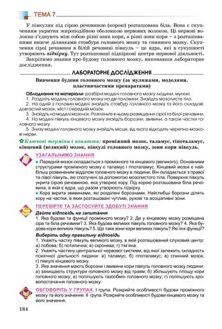 184
ТЕМА 7
Ó ïіâêóëÿõ ïіä ñіðîþ ðå÷îâèíîþ (êîðîþ) ðîçòàøîâàíà áіëà. Âîíà є ñêóï-
÷åííÿì óêðèòèõ æèðîïîäіáíîþ îáîëîíêîþ íåðâîâèõ âîëîêîí. Öі íåðâîâі âî-
ëîêíà ç’єäíóþòü ìіæ ñîáîþ ðіçíі çîíè êîðè, à ðіçíі çîíè êîðè – ç ðîçòàøîâà-
íèìè íèæ÷å äіëÿíêàìè ñòîâáóðà ãîëîâíîãî ìîçêó òà ñïèííîãî ìîçêó. Ñêóï-
÷åííÿ ñіðîї ðå÷îâèíè â áіëіé ðå÷îâèíі ïіâêóëü – öå ÿäðà, ÿêі â ñóêóïíîñòі
óòâîðþþòü ïіäêіðêó. Òóò ðîçòàøîâàíі ïіäêіðêîâі öåíòðè íåðâîâîї äіÿëüíîñòі.
Çàêðіïèìî çíàííÿ ïðî áóäîâó ãîëîâíîãî ìîçêó, âèêîíàâøè ëàáîðàòîðíå
äîñëіäæåííÿ.
ËÀÁÎÐÀÒÎÐÍÅ ÄÎÑËІÄÆÅÍÍß
Âèâ÷åííÿ áóäîâè ãîëîâíîãî ìîçêó (çà ìóëÿæàìè, ìîäåëÿìè,
ïëàñòèí÷àñòèìè ïðåïàðàòàìè)
Îáëàäíàííÿ òà ìàòåðіàëè: ðîçáіðíі ìîäåëі ãîëîâíîãî ìîçêó ëþäèíè, ìóëÿæі.
1. Ðîçäіëіòü ìîäåëü ãîëîâíîãî ìîçêó íà äâі ïîëîâèíè. Çíàéäіòü ìîçîëèñòå òіëî.
2. Íà îäíіé ç ïîëîâèí ìîäåëі çíàéäіòü ñòîâáóð ãîëîâíîãî ìîçêó òà éîãî ñêëàäîâі:
äîâãàñòèé ìîçîê, ìіñò і ñåðåäíіé ìîçîê.
3. Çíàéäіòü íà ìîäåëі ìîçî÷îê. Ðîçãëÿíüòå â íüîìó ðîçìіùåííÿ ñіðîї òà áіëîї ðå÷îâèíè.
4. Íà ìîäåëі ïіâêóëü êіíöåâîãî ìîçêó çíàéäіòü áîðîçíè, çâèâèíè, à òàêîæ ÷àñòêè ãî-
ëîâíîãî ìîçêó.
5. Çíèçó ìîäåëі ãîëîâíîãî ìîçêó çíàéäіòü ìіñöå, âіä ÿêîãî âіäõîäÿòü ÷åðåïíî-ìîçêî-
âі íåðâè.
Êëþ÷îâі òåðìіíè і ïîíÿòòÿ: ïðîìіæíèé ìîçîê, òàëàìóñ, ãіïîòàëàìóñ,
êіíöåâèé (âåëèêèé) ìîçîê, ïіâêóëі ãîëîâíîãî ìîçêó, çîíè êîðè ïіâêóëü.
УЗАГАЛЬНИМО ЗНАННЯ
Передній мозок складається з проміжного та кінцевого (великого). Основними
структурами проміжного мозку є таламус і гіпоталамус. Кінцевий мозок є най-
більш розвиненим відділом головного мозку в людини. Він складається з правої
та лівої півкуль, які сполучені за допомогою мозолистого тіла. Поверхня півкуль
укрита сірою речовиною, яка утворює кору. Під корою розташована біла речо-
вина, в якій є ядра, що разом утворюють підкірку.
Кора вкрита звивинами, які розділені борознами. Найглибші борозни ділять
кору на частки, в яких розташовані чутливі, рухові та асоціативні зони.
ПЕРЕВІРТЕ ТА ЗАСТОСУЙТЕ ЗДОБУТІ ЗНАННЯ
Дайте відповідь на запитання
1. Яка будова та функції проміжного мозку? 2. Де у кінцевому мозку розміщена
сіра та біла речовини? 3. Яка будова великих півкуль головного мозку? 4. Яка бу-
дова кори великих півкуль? 5. Що таке зони кори великих півкуль? Які їхні функції?
Виберіть одну правильну відповідь
1. Укажіть частку півкуль великого мозку, в якій розташований слуховий центр:
а) лобова; б) потилична; в) скронева; г) тім’яна.
2. Укажіть частину центральної нервової системи, від якої залежить складність
психічної діяльності людини: а) таламус; б) гіпоталамус; в) спинний мозок;
г) півкулі кінцевого мозку.
3. Яке значення мають борозни і звивини кори півкуль головного мозку людини:
а) захищають структури головного мозку від травм; б) збільшують площу кори
головного мозку; в) поліпшують газообмін головного мозку; г) поліпшують кро-
вопостачання головного мозку.
ОБГОВОРІТЬ У ГРУПАХ. І група. Розкрийте особливості будови проміжного
мозку та його значення. ІІ група. Розкрийте особливості будови кінцевого мозку та
його значення.
 