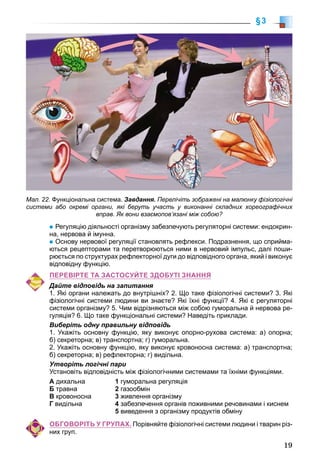 19
§3
Регуляцію діяльності організму забезпечують регуляторні системи: ендокрин-
на, нервова й імунна.
Основу нервової регуляції становлять рефлекси. Подразнення, що сприйма-
ються рецепторами та перетворюються ними в нервовий імпульс, далі поши-
рюється по структурах рефлекторної дуги до відповідного органа, який і виконує
відповідну функцію.
ПЕРЕВІРТЕ ТА ЗАСТОСУЙТЕ ЗДОБУТІ ЗНАННЯ
Дайте відповідь на запитання
1. Які органи належать до внутрішніх? 2. Що таке фізіологічні системи? 3. Які
фізіологічні системи людини ви знаєте? Які їхні функції? 4. Які є регуляторні
системи організму? 5. Чим відрізняються між собою гуморальна й нервова ре-
гуляція? 6. Що таке функціональні системи? Наведіть приклади.
Виберіть одну правильну відповідь
1. Укажіть основну функцію, яку виконує опорно-рухова система: а) опорна;
б) секреторна; в) транспортна; г) гуморальна.
2. Укажіть основну функцію, яку виконує кровоносна система: а) транспортна;
б) секреторна; в) рефлекторна; г) видільна.
Утворіть логічні пари
Установіть відповідність між фізіологічними системами та їхніми функціями.
А дихальна
Б травна
В кровоносна
Г видільна
1 гуморальна регуляція
2 газообмін
3 живлення організму
4 забезпечення органів поживними речовинами і киснем
5 виведення з організму продуктів обміну
ОБГОВОРІТЬ У ГРУПАХ. Порівняйте фізіологічні системи людини і тварин різ-
них груп.
Мал. 22. Функціональна система. Завдання. Перелічіть зображені на малюнку фізіологічні
системи або окремі органи, які беруть участь у виконанні складних хореографічних
вправ. Як вони взаємопов’язані між собою?
 