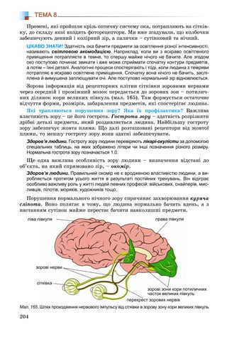 204
ТЕМА 8
Ïðîìåíі, ÿêі ïðîéøëè êðіçü îïòè÷íó ñèñòåìó îêà, ïîòðàïëÿþòü íà ñіòêіâ-
êó, äî ñêëàäó ÿêîї âõîäÿòü ôîòîðåöåïòîðè. Ìè âæå çãàäóâàëè, ùî êîëáî÷êè
çàáåçïå÷óþòü äåííèé і êîëіðíèé çіð, à ïàëè÷êè – ñóòіíêîâèé òà íі÷íèé.
ЦІКАВО ЗНАТИ! Здатність ока бачити предмети за освітлення різної інтенсивності,
називають світловою акомодацією. Наприклад, коли ви з яскраво освітленого
приміщення потрапляєте в темне, то спершу майже нічого не бачите. Але згодом
око поступово починає звикати і вже може сприймати спочатку контури предметів,
а потім – їхні деталі. Аналогічні процеси спостерігають і тоді, коли людина з темряви
потрапляє в яскраво освітлене приміщення. Спочатку вона нічого не бачить, заслі-
плена й вимушена заплющувати очі. Але поступово нормальний зір відновлюється.
Çîðîâà іíôîðìàöіÿ âіä ðåöåïòîðíèõ êëіòèí ñіòêіâêè çîðîâèìè íåðâàìè
÷åðåç ñåðåäíіé і ïðîìіæíèé ìîçîê ïåðåäàєòüñÿ äî çîðîâèõ çîí – ïîòèëè÷-
íèõ äіëÿíîê êîðè âåëèêèõ ïіâêóëü (ìàë. 165). Òàì ôîðìóєòüñÿ îñòàòî÷íå
âіä÷óòòÿ ôîðìè, ðîçìіðіâ, çàáàðâëåííÿ ïðåäìåòіâ, ÿêі ñïîñòåðіãàє ëþäèíà.
ßêі òðàïëÿþòüñÿ ïîðóøåííÿ çîðó? ßêà їõ ïðîôіëàêòèêà? Âàæëèâà
âëàñòèâіñòü çîðó – öå éîãî ãîñòðîòà. Ãîñòðîòà çîðó – çäàòíіñòü ðîçðіçíÿòè
äðіáíі äåòàëі ïðåäìåòà, ÿêèé ðîçäèâëÿєòüñÿ ëþäèíà. Íàéáіëüøó ãîñòðîòó
çîðó çàáåçïå÷óє æîâòà ïëÿìà. Ùî äàëі ðîçòàøîâàíі ðåöåïòîðè âіä æîâòîї
ïëÿìè, òî ìåíøó ãîñòðîòó çîðó âîíè çäàòíі çàáåçïå÷óâàòè.
Здоров’я людини. Гостроту зору людини перевіряють лікарі-окулісти за допомогоюи
спеціальних таблиць, на яких зображено літери чи інші позначення різного розміру.
Нормальна гострота зору позначається 1.0.
Ùå îäíà âàæëèâà îñîáëèâіñòü çîðó ëþäèíè – âèçíà÷åííÿ âіäñòàíі äî
îá’єêòà, íà ÿêèé ñïðÿìîâàíî çіð, – îêîìіð.
Здоров’я людини. Правильний окомір не є вродженою властивістю людини, а ви-
робляється протягом усього життя в результаті постійних тренувань. Він відіграє
особливо важливу роль у житті людей певних професій: військових, снайперів, мис-
ливців, пілотів, моряків, художників тощо.
Ïîðóøåííÿ íîðìàëüíîãî íі÷íîãî çîðó ñïðè÷èíÿє çàõâîðþâàííÿ êóðÿ÷à
ñëіïîòà. Âîíî ïîëÿãàє â òîìó, ùî ëþäèíà íîðìàëüíî áà÷èòü âäåíü, à ç
íàñòàííÿì ñóòіíîê ìàéæå ïåðåñòàє áà÷èòè íàâêîëèøíі ïðåäìåòè.
Мал. 165. Шлях проходження нервового імпульсу від сітківки в зорову зону кори великих півкуль
ліва піввкуля
зорові нерви
сіткківка
права півкуля
отиличнихзорові зони кори по
кульчасток великих пів
р р р рперехрест зорових нервів
 