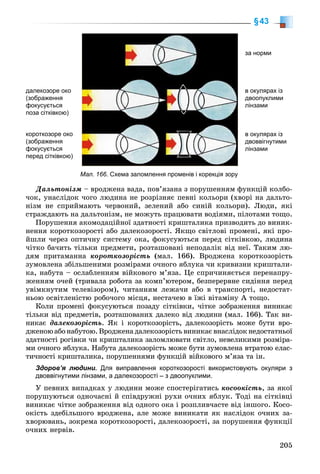 205
§43
Мал. 166. Схема заломлення променів і корекція зору
за норми
в окулярах із
двоопуклими
лінзами
далекозоре око
(зображення
фокусується
поза сітківкою)
короткозоре око
(зображення
фокусується
перед сітківкою)
в окулярах із
двоввігнутими
лінзами
Äàëüòîíіçì – âðîäæåíà âàäà, ïîâ’ÿçàíà ç ïîðóøåííÿì ôóíêöіé êîëáî-
÷îê, óíàñëіäîê ÷îãî ëþäèíà íå ðîçðіçíÿє ïåâíі êîëüîðè (õâîðі íà äàëüòî-
íіçì íå ñïðèéìàþòü ÷åðâîíèé, çåëåíèé àáî ñèíіé êîëüîðè). Ëþäè, ÿêі
ñòðàæäàþòü íà äàëüòîíіçì, íå ìîæóòü ïðàöþâàòè âîäіÿìè, ïіëîòàìè òîùî.
Ïîðóøåííÿ àêîìîäàöіéíîї çäàòíîñòі êðèøòàëèêà ïðèçâîäèòü äî âèíèê-
íåííÿ êîðîòêîçîðîñòі àáî äàëåêîçîðîñòі. ßêùî ñâіòëîâі ïðîìåíі, ÿêі ïðî-
éøëè ÷åðåç îïòè÷íó ñèñòåìó îêà, ôîêóñóþòüñÿ ïåðåä ñіòêіâêîþ, ëþäèíà
÷іòêî áà÷èòü òіëüêè ïðåäìåòè, ðîçòàøîâàíі íåïîäàëіê âіä íåї. Òàêèì ëþ-
äÿì ïðèòàìàííà êîðîòêîçîðіñòü (ìàë. 166). Âðîäæåíà êîðîòêîçîðіñòü
çóìîâëåíà çáіëüøåíèìè ðîçìіðàìè î÷íîãî ÿáëóêà ÷è êðèâèçíè êðèøòàëè-
êà, íàáóòà – îñëàáëåííÿì âіéêîâîãî ì’ÿçà. Öå ñïðè÷èíÿєòüñÿ ïåðåíàïðó-
æåííÿì î÷åé (òðèâàëà ðîáîòà çà êîìï’þòåðîì, áåçïåðåðâíå ñèäіííÿ ïåðåä
óâіìêíóòèì òåëåâіçîðîì), ÷èòàííÿì ëåæà÷è àáî â òðàíñïîðòі, íåäîñòàò-
íüîþ îñâіòëåíіñòþ ðîáî÷îãî ìіñöÿ, íåñòà÷åþ â їæі âіòàìіíó À òîùî.
Êîëè ïðîìåíі ôîêóñóþòüñÿ ïîçàäó ñіòêіâêè, ÷іòêå çîáðàæåííÿ âèíèêàє
òіëüêè âіä ïðåäìåòіâ, ðîçòàøîâàíèõ äàëåêî âіä ëþäèíè (ìàë. 166). Òàê âè-
íèêàє äàëåêîçîðіñòü. ßê і êîðîòêîçîðіñòü, äàëåêîçîðіñòü ìîæå áóòè âðî-
äæåíîþàáîíàáóòîþ.Âðîäæåíàäàëåêîçîðіñòüâèíèêàєâíàñëіäîêíåäîñòàòíüîї
çäàòíîñòі ðîãіâêè ÷è êðèøòàëèêà çàëîìëþâàòè ñâіòëî, íåâåëèêèìè ðîçìіðà-
ìè î÷íîãî ÿáëóêà. Íàáóòà äàëåêîçîðіñòü ìîæå áóòè çóìîâëåíà âòðàòîþ åëàñ-
òè÷íîñòі êðèøòàëèêà, ïîðóøåííÿìè ôóíêöіé âіéêîâîãî ì’ÿçà òà іí.
Здоров’я людини. Для виправлення короткозорості використовують окуляри з
двоввігнутими лінзами, а далекозорості – з двоопуклими.
Ó ïåâíèõ âèïàäêàõ ó ëþäèíè ìîæå ñïîñòåðіãàòèñü êîñîîêіñòü, çà ÿêîї
ïîðóøóþòüñÿ îäíî÷àñíі é ñïіâäðóæíі ðóõè î÷íèõ ÿáëóê. Òîäі íà ñіòêіâöі
âèíèêàє ÷іòêå çîáðàæåííÿ âіä îäíîãî îêà і ðîçïëèâ÷àñòå âіä іíøîãî. Êîñî-
îêіñòü çäåáіëüøîãî âðîäæåíà, àëå ìîæå âèíèêàòè ÿê íàñëіäîê î÷íèõ çà-
õâîðþâàíü, çîêðåìà êîðîòêîçîðîñòі, äàëåêîçîðîñòі, çà ïîðóøåííÿ ôóíêöії
î÷íèõ íåðâіâ.
 