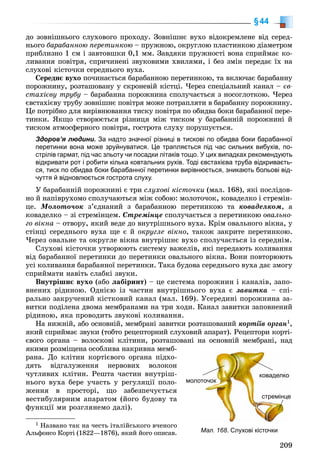 209
§44
äî çîâíіøíüîãî ñëóõîâîãî ïðîõîäó. Çîâíіøíє âóõî âіäîêðåìëåíå âіä ñåðåä-
íüîãî áàðàáàííîþ ïåðåòèíêîþ – ïðóæíîþ, îêðóãëîþ ïëàñòèíêîþ äіàìåòðîì
ïðèáëèçíî 1 ñì і çàâòîâøêè 0,1 ìì. Çàâäÿêè ïðóæíîñòі âîíà ñïðèéìàє êî-
ëèâàííÿ ïîâіòðÿ, ñïðè÷èíåíі çâóêîâèìè õâèëÿìè, і áåç çìіí ïåðåäàє їõ íà
ñëóõîâі êіñòî÷êè ñåðåäíüîãî âóõà.
Ñåðåäíє âóõî ïî÷èíàєòüñÿ áàðàáàííîþ ïåðåòèíêîþ, òà âêëþ÷àє áàðàáàííó
ïîðîæíèíó, ðîçòàøîâàíó ó ñêðîíåâіé êіñòöі. ×åðåç ñïåöіàëüíèé êàíàë – єâ-
ñòàõієâó òðóáó – áàðàáàííà ïîðîæíèíà ñïîëó÷àєòüñÿ ç íîñîãëîòêîþ. ×åðåç
єâñòàõієâó òðóáó çîâíіøíє ïîâіòðÿ ìîæå ïîòðàïëÿòè â áàðàáàííó ïîðîæíèíó.
Öå ïîòðіáíî äëÿ âèðіâíþâàííÿ òèñêó ïîâіòðÿ ïî îáèäâà áîêè áàðàáàííîї ïåðå-
òèíêè. ßêùî ñòâîðþєòüñÿ ðіçíèöÿ ìіæ òèñêîì ó áàðàáàííіé ïîðîæíèíі é
òèñêîì àòìîñôåðíîãî ïîâіòðÿ, ãîñòðîòà ñëóõó ïîðóøóєòüñÿ.
Здоров’я людини. За надто значної різниці в тискові по обидва боки барабанної
перетинки вона може зруйнуватися. Це трапляється під час сильних вибухів, по-
стрілів гармат, під час зльоту чи посадки літаків тощо. У цих випадках рекомендують
відкривати рот і робити кілька ковтальних рухів. Тоді євстахієва труба відкриваєть-
ся, тиск по обидва боки барабанної перетинки вирівнюється, зникають больові від-
чуття й відновлюється гострота слуху.
Ó áàðàáàííіé ïîðîæíèíі є òðè ñëóõîâі êіñòî÷êè (ìàë. 168), ÿêі ïîñëіäîâ-
íî é íàïіâðóõîìî ñïîëó÷àþòüñÿ ìіæ ñîáîþ: ìîëîòî÷îê, êîâàäåëêî і ñòðåìіí-
öå. Ìîëîòî÷îê ç’єäíàíèé ç áàðàáàííîþ ïåðåòèíêîþ òà êîâàäåëêîì, à
êîâàäåëêî – çі ñòðåìіíöåì. Ñòðåìіíöå ñïîëó÷àєòüñÿ ç ïåðåòèíêîþ îâàëüíî-
ãî âіêíà – îòâîðó, ÿêèé âåäå äî âíóòðіøíüîãî âóõà. Êðіì îâàëüíîãî âіêíà, ó
ñòіíöі ñåðåäíüîãî âóõà ùå є é îêðóãëå âіêíî, òàêîæ çàêðèòå ïåðåòèíêîþ.
×åðåç îâàëüíå òà îêðóãëå âіêíà âíóòðіøíє âóõî ñïîëó÷àєòüñÿ іç ñåðåäíіì.
Ñëóõîâі êіñòî÷êè óòâîðþþòü ñèñòåìó âàæåëіâ, ÿêі ïåðåäàþòü êîëèâàííÿ
âіä áàðàáàííîї ïåðåòèíêè äî ïåðåòèíêè îâàëüíîãî âіêíà. Âîíè ïîâòîðþþòü
óñі êîëèâàííÿ áàðàáàííîї ïåðåòèíêè. Òàêà áóäîâà ñåðåäíüîãî âóõà äàє çìîãó
ñïðèéìàòè íàâіòü ñëàáêі çâóêè.
Âíóòðіøíє âóõî (àáî ëàáіðèíò) – öå ñèñòåìà ïîðîæíèí і êàíàëіâ, çàïî-
âíåíèõ ðіäèíîþ. Îäíієþ іç ÷àñòèí âíóòðіøíüîãî âóõà є çàâèòêà – ñïі-
ðàëüíî çàêðó÷åíèé êіñòêîâèé êàíàë (ìàë. 169). Óñåðåäèíі ïîðîæíèíà çà-
âèòêè ïîäіëåíà äâîìà ìåìáðàíàìè íà òðè õîäè. Êàíàë çàâèòêè çàïîâíåíèé
ðіäèíîþ, ÿêà ïðîâîäèòü çâóêîâі êîëèâàííÿ.
Íà íèæíіé, àáî îñíîâíіé, ìåìáðàíі çàâèòêè ðîçòàøîâàíèé êîðòіїâ îðãàí1,
ÿêèé ñïðèéìàє çâóêè (òîáòî ðåöåïòîðíèé ñëóõîâèé àïàðàò). Ðåöåïòîðè êîðòі-
єâîãî îðãàíà – âîëîñêîâі êëіòèíè, ðîçòàøîâàíі íà îñíîâíіé ìåìáðàíі, íàä
ÿêèìè ðîçìіùåíà îñîáëèâà íàêðèâíà ìåìá-
ðàíà. Äî êëіòèí êîðòієâîãî îðãàíà ïіäõî-
äÿòü âіäãàëóæåííÿ íåðâîâèõ âîëîêîí
÷óòëèâèõ êëіòèí. Ðåøòà ÷àñòèí âíóòðіø-
íüîãî âóõà áåðå ó÷àñòü ó ðåãóëÿöії ïîëî-
æåííÿ â ïðîñòîðі, ùî çàáåçïå÷óєòüñÿ
âåñòèáóëÿðíèì àïàðàòîì (éîãî áóäîâó òà
ôóíêöії ìè ðîçãëÿíåìî äàëі).
1 Íàçâàíî òàê íà ÷åñòü іòàëіéñüêîãî â÷åíîãî
Àëüôîíñî Êîðòі (1822—1876), ÿêèé éîãî îïèñàâ. Мал. 168. Слухові кісточки
молооточок
стремінце
коваделко
 