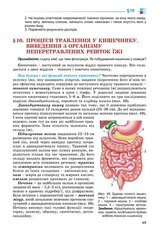 49
§10
2. На іншому клаптикові накрохмаленої тканини сірником, на кінці якого накру-
чено вату, змочену слиною, напишіть слово «амілаза» і також опустіть його у
розчин йоду.
3. Порівняйте результати дослідів.
§10. ÏÐÎÖÅÑÈ ÒÐÀÂËÅÍÍß Ó ÊÈØÅ×ÍÈÊÓ.
ÂÈÂÅÄÅÍÍß Ç ÎÐÃÀÍІÇÌÓ
ÍÅÏÅÐÅÒÐÀÂËÅÍÈÕ ÐÅØÒÎÊ ЇÆІ
Пригадайте з курсу хімії, що таке фільтрація. Як побудований кишечник у ссавців?
Êèøå÷íèê – íàñòóïíèé çà øëóíêîì âіääіë òðàâíîãî êàíàëó. Âіí ñêëà-
äàєòüñÿ ç äâîõ âіääіëіâ – òîíêîãî і òîâñòîãî êèøå÷íèêó.
ßêà áóäîâà і ÿêі ôóíêöії òîíêîãî êèøå÷íèêó? ×àñòêîâî ïåðåòðàâëåíà â
øëóíêó їæà, ÿêó íàçèâàþòü õіìóñîì, çàâäÿêè ñêîðî÷åííþ éîãî ì’ÿçіâ ÷å-
ðåç ñôіíêòåð íàäõîäèòü ïîðöіÿìè äî íàñòóïíîãî âіääіëó òðàâíîãî êàíàëó –
òîíêîãî êèøå÷íèêó. Ñàìå â íüîìó ïîæèâíі ðå÷îâèíè їæі ðîçùåïëþþòüñÿ
îñòàòî÷íî і âñìîêòóþòüñÿ â êðîâ і ëіìôó. Ó äîðîñëîї ëþäèíè äîâæèíà
òîíêîãî êèøå÷íèêó ñòàíîâèòü 5–6 ì. Éîãî ïîäіëÿþòü íà òðè ïîñëіäîâíèõ
âіääіëè: äâàíàäöÿòèïàëó, ïîðîæíþ òà êëóáîâó êèøêè (ìàë. 48).
Äâàíàäöÿòèïàëó êèøêó íàçâàíî òàê òîìó, ùî її äîâæèíà ïðèáëèçíî
äîðіâíþє òîâùèíі 12 ñêëàäåíèõ ðàçîì ïàëüöіâ (25–30 ñì). Äî íåї âіäêðèâà-
þòüñÿ ïðîòîêà ïіäøëóíêîâîї çàëîçè òà çàãàëüíà æîâ÷íà ïðîòîêà (ìàë. 49).
І õî÷à õàð÷îâі ìàñè çàòðèìóþòüñÿ â öіé êèøöі
íåäîâãî, ñàìå òóò íà íèõ äіє íàéáіëüøå òðàâ-
íèõ ôåðìåíòіâ. Їõíÿ êіëüêіñòü çàëåæèòü âіä
ñêëàäó їæі.
Ïіäøëóíêîâà çàëîçà çàâäîâæêè 12–15 ñì
ðîçìіùåíà ïіä øëóíêîì. Âîíà âèðîáëÿє òðàâ-
íèé ñіê, ÿêèé ÷åðåç âèâіäíó ïðîòîêó ïîòðà-
ïëÿє â äâàíàäöÿòèïàëó êèøêó. Òðàâíèé ñіê
ïіäøëóíêîâîї çàëîçè ìàє ëóæíó ðåàêöіþ, âè-
äіëÿєòüñÿ òіëüêè ïіä ÷àñ òðàâëåííÿ. Äî éîãî
ñêëàäó âõîäÿòü ôåðìåíòè, ÿêі ñïðèÿþòü ðîç-
ùåïëåííþ âñіõ ïîæèâíèõ ðå÷îâèí: òðèïñèí
òà õіìîòðèïñèí âïëèâàþòü íà ðîçùåïëåííÿ
áіëêіâ äî їõíіõ ñêëàäîâèõ – àìіíîêèñëîò, ëі-
ïàçà – æèðіâ äî ãëіöåðîëó òà æèðíèõ êèñëîò,
àìіëàçà ðîçùåïëþє êðîõìàëü äî ãëþêîçè.
Ïå÷іíêà – öå íàéáіëüøà çàëîçà â îðãàíіçìі
ëþäèíè (її ìàñà – 1,5–2 êã), ðîçòàøîâàíà ïåðå-
âàæíî â ïðàâîìó ïіäðåáåð’ї, ïіä äіàôðàãìîþ.
Áіëÿ ïå÷іíêè є ïîðîæíèñòèé îðãàí – æîâ÷íèé
ìіõóð, ÿêèé çàãàëüíîþ æîâ÷íîþ ïðîòîêîþ ñïî-
ëó÷åíèé ç äâàíàäöÿòèïàëîþ êèøêîþ (ìàë. 49).
Ïå÷іíêà âèêîíóє òàêі ãîëîâíі ôóíêöії: ñåêðå-
òîðíó, çàõèñíó, îáìіííó, ñèíòåòè÷íó, äåòîê-
ñèêàöіéíó.
Мал. 48. Будова тонкого кишеч-
нику: 1 – дванадцятипала кишка;
2 – порожня кишка; 3 – клубова
кишка; 4 – підшлункова залоза.
Завдання. Користуючись малюн-
ком, назвіть особливості будови
відділів тонкого кишечнику
1
3
22
4
 