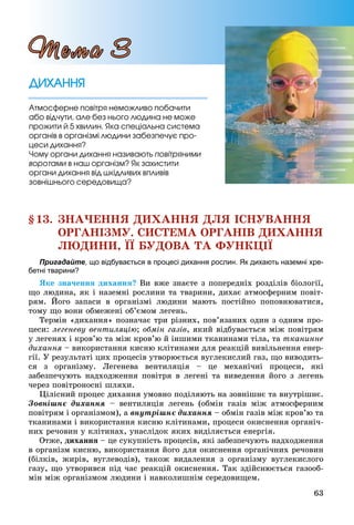 63
§13. ÇÍÀ×ÅÍÍß ÄÈÕÀÍÍß ÄËß ІÑÍÓÂÀÍÍß
ÎÐÃÀÍІÇÌÓ. ÑÈÑÒÅÌÀ ÎÐÃÀÍІÂ ÄÈÕÀÍÍß
ËÞÄÈÍÈ, ЇЇ ÁÓÄÎÂÀ ÒÀ ÔÓÍÊÖІЇ
Пригадайте, що відбувається в процесі дихання рослин. Як дихають наземні хре-
бетні тварини?
ßêå çíà÷åííÿ äèõàííÿ? Âè âæå çíàєòå ç ïîïåðåäíіõ ðîçäіëіâ áіîëîãії,
ùî ëþäèíà, ÿê і íàçåìíі ðîñëèíè òà òâàðèíè, äèõàє àòìîñôåðíèì ïîâіò-
ðÿì. Éîãî çàïàñè â îðãàíіçìі ëþäèíè ìàþòü ïîñòіéíî ïîïîâíþâàòèñÿ,
òîìó ùî âîíè îáìåæåíі îá’єìîì ëåãåíü.
Òåðìіí «äèõàííÿ» ïîçíà÷àє òðè ðіçíèõ, ïîâ’ÿçàíèõ îäèí ç îäíèì ïðî-
öåñè: ëåãåíåâó âåíòèëÿöіþ; îáìіí ãàçіâ, ÿêèé âіäáóâàєòüñÿ ìіæ ïîâіòðÿì
ó ëåãåíÿõ і êðîâ’þ òà ìіæ êðîâ’þ é іíøèìè òêàíèíàìè òіëà, òà òêàíèííå
äèõàííÿ – âèêîðèñòàííÿ êèñíþ êëіòèíàìè äëÿ ðåàêöіé âèâіëüíåííÿ åíåð-
ãії. Ó ðåçóëüòàòі öèõ ïðîöåñіâ óòâîðþєòüñÿ âóãëåêèñëèé ãàç, ùî âèâîäèòü-
ñÿ ç îðãàíіçìó. Ëåãåíåâà âåíòèëÿöіÿ – öå ìåõàíі÷íі ïðîöåñè, ÿêі
çàáåçïå÷óþòü íàäõîäæåííÿ ïîâіòðÿ â ëåãåíі òà âèâåäåííÿ éîãî ç ëåãåíü
÷åðåç ïîâіòðîíîñíі øëÿõè.
Öіëіñíèé ïðîöåñ äèõàííÿ óìîâíî ïîäіëÿþòü íà çîâíіøíє òà âíóòðіøíє.
Çîâíіøíє äèõàííÿ – âåíòèëÿöіÿ ëåãåíü (îáìіí ãàçіâ ìіæ àòìîñôåðíèì
ïîâіòðÿì і îðãàíіçìîì), à âíóòðіøíє äèõàííÿ – îáìіí ãàçіâ ìіæ êðîâ’þ òà
òêàíèíàìè і âèêîðèñòàííÿ êèñíþ êëіòèíàìè, ïðîöåñè îêèñíåííÿ îðãàíі÷-
íèõ ðå÷îâèí ó êëіòèíàõ, óíàñëіäîê ÿêèõ âèäіëÿєòüñÿ åíåðãіÿ.
Îòæå, äèõàííÿ – öå ñóêóïíіñòü ïðîöåñіâ, ÿêі çàáåçïå÷óþòü íàäõîäæåííÿ
â îðãàíіçì êèñíþ, âèêîðèñòàííÿ éîãî äëÿ îêèñíåííÿ îðãàíі÷íèõ ðå÷îâèí
(áіëêіâ, æèðіâ, âóãëåâîäіâ), òàêîæ âèäàëåííÿ ç îðãàíіçìó âóãëåêèñëîãî
ãàçó, ùî óòâîðèâñÿ ïіä ÷àñ ðåàêöіé îêèñíåííÿ. Òàê çäіéñíþєòüñÿ ãàçîîá-
ìіí ìіæ îðãàíіçìîì ëþäèíè і íàâêîëèøíіì ñåðåäîâèùåì.
ÄÈÕÀÍÍßÄÈÕÀÍÍß
Àòìîñôåðíå ïîâіòðÿ íåìîæëèâî ïîáà÷èòè
àáî âіä÷óòè, àëå áåç íüîãî ëþäèíà íå ìîæå
ïðîæèòè é 5 õâèëèí. ßêà ñïåöіàëüíà ñèñòåìà
îðãàíіâ â îðãàíіçìі ëþäèíè çàáåçïå÷óє ïðî-
öåñè äèõàííÿ?
×îìó îðãàíè äèõàííÿ íàçèâàþòü ïîâіòðÿíèìè
âîðîòàìè â íàø îðãàíіçì? ßê çàõèñòèòè
îðãàíè äèõàííÿ âіä øêіäëèâèõ âïëèâіâ
çîâíіøíüîãî ñåðåäîâèùà?
Òåìà 3
 