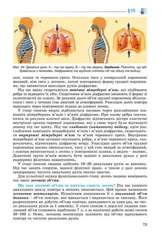 73
§15
øèї, ñïèíè òà ÷åðåâíîãî ïðåñà. Îñêіëüêè òèñê ó ïëåâðàëüíіé ïîðîæíèíі
ìåíøèé, íіæ òèñê ó ëåãåíÿõ, ëåãåíі ïîâòîðþþòü ôîðìó ãðóäíîї ïîðîæíè-
íè, ùî çìіíþєòüñÿ âíàñëіäîê ðóõіâ äіàôðàãìè.
Ïіä ÷àñ âäèõó ñêîðî÷óþòüñÿ çîâíіøíі ìіæðåáåðíі ì’ÿçè, ÿêі ïіäіéìàþòü
ðåáðà òà âіäâîäÿòü їõ óáіê. Ñêîðî÷åííÿ ì’ÿçіâ äіàôðàãìè çìіíþþòü її ôîðìó çі
ñêëåïіí÷àñòîї íà ïëàñêó. Çà ðàõóíîê öüîãî îá’єì ãðóäíîї ïîðîæíèíè çáіëüøó-
єòüñÿ і òèñê ó ëåãåíÿõ ñòàє íèæ÷èé çà àòìîñôåðíèé. Óíàñëіäîê öüîãî ïîâіòðÿ
íàäõîäèòü ÷åðåç ïîâіòðîíîñíі øëÿõè äî àëüâåîë ëåãåíü.
Ó ñòàíі ñïîêîþ âèäèõ âіäáóâàєòüñÿ ïàñèâíî ÷åðåç ðîçñëàáëåííÿ çîâ-
íіøíіõ ìіæðåáåðíèõ ì’ÿçіâ і ì’ÿçіâ äіàôðàãìè. Ïðè öüîìó ðåáðà îïóñêà-
þòüñÿ çà ðàõóíîê âëàñíîї âàãè. Äіàôðàãìó âіäòèñêàþòü äîãîðè åëàñòè÷íі
âíóòðіøíі îðãàíè ÷åðåâíîї ïîðîæíèíè, ÿêі ó ñâîþ ÷åðãó áóëè âіäòèñíóòі
äîíèçó ïіä ÷àñ âäèõó. Ïіä ÷àñ ãëèáîêîãî (àêòèâíîãî) âèäèõó, êðіì ðîç-
ñëàáëåííÿ çîâíіøíіõ ìіæðåáåðíèõ ì’ÿçіâ і ì’ÿçіâ äіàôðàãìè, ñêîðî÷óþòü-
ñÿ âíóòðіøíі ìіæðåáåðíі ì’ÿçè òà ì’ÿçè ÷åðåâíîãî ïðåñà. Âíóòðіøíі
ìіæðåáåðíі ì’ÿçè àêòèâíî îïóñêàþòü ðåáðà, à ì’ÿçè ÷åðåâíîãî ïðåñà, ñêî-
ðî÷óþ÷èñü, âіäòèñêàþòü äіàôðàãìó âãîðó. Óíàñëіäîê öüîãî îá’єì ãðóäíîї
ïîðîæíèíè çíà÷íî çìåíøóєòüñÿ, òèñê ó íіé ñòàє âèùèé çà àòìîñôåðíèé,
і ïîâіòðÿ âèòèñêàєòüñÿ ç ëåãåíü ó ïîâіòðîíîñíі øëÿõè, à çâіäòè – íàçîâíі.
Äîäàòêîâі ãðóïè ì’ÿçіâ ìîæóòü áóòè çàäіÿíі â äèõàëüíèõ ðóõàõ ó ðàçі
íàäìіðíèõ ôіçè÷íèõ íàâàíòàæåíü.
Ó ñòàíі ñïîêîþ ëþäèíà çäіéñíþє 16–20 äèõàëüíèõ ðóõіâ çà õâèëèíó.
Ïіä ÷àñ çàíÿòü ñïîðòîì, âàæêîї ôіçè÷íîї ïðàöі, à òàêîæ ó ðàçі äåÿêèõ
çàõâîðþâàíü ÷àñòîòà äèõàëüíèõ ðóõіâ çíà÷íî çðîñòàє.
Äëÿ êіëüêіñíîї îöіíêè ôóíêöіîíàëüíîãî ñòàíó ëåãåíü ëþäèíè âèìіðþþòü
òàê çâàíі ëåãåíåâі îá’єìè.
Ùî òàêå ëåãåíåâі îá’єìè òà æèòòєâà єìíіñòü ëåãåíü? Ïіä ÷àñ êîæíîãî
äèõàëüíîãî öèêëó ïîâіòðÿ â ëåãåíÿõ îíîâëþєòüñÿ. Öåé ïðîöåñ íàçèâàþòü
ëåãåíåâîþ âåíòèëÿöієþ. Êіëüêіñíèì ïîêàçíèêîì її є õâèëèííèé îá’єì
äèõàííÿ – îá’єì ïîâіòðÿ, ÿêå âäèõàєòüñÿ і âèäèõàєòüñÿ çà õâèëèíó. Éîãî
ðîçðàõîâóþòü ÿê äîáóòîê îá’єìó ïîâіòðÿ, âäèõóâàíîãî çà îäèí ðàç, íà ÷èñ-
ëî äèõàëüíèõ ðóõіâ çà 1 õâèëèíó. Ó ñòàíі ñïîêîþ â äîðîñëîї ëþäèíè õâè-
ëèííèé îá’єì ñòàíîâèòü ïðèáëèçíî 7 ë, à çà ïîñèëåíîї ðîáîòè ìîæå ñÿãàòè
50–160 ë. Îòæå, ëåãåíåâà âåíòèëÿöіÿ çàëåæèòü âіä îá’єìó âäèõóâàíîãî
ïîâіòðÿ òà ÷àñòîòè äèõàëüíèõ ðóõіâ.
Мал. 64. Дихальні рухи: А – під час вдиху; Б – під час видиху. Завдання. Поясніть, що від-
бувається з легенями, діафрагмою та грудною кліткою під час вдиху та видиху
А Б
 