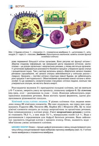 8
ВСТУП
дова переважної більшості клітин організмів. Воно регулює всі функції клітини і
зберігає спадкову інформацію. Це своєрідний центр керування клітиною. Цито-
плазма – це розчин органічних і неорганічних речовин, у якому містяться органели.
У цитоплазмі відбуваються різноманітні біохімічні процеси: утворення одних сполук
і розщеплення інших. Там у вигляді включень можуть зберігатися запасні поживні
речовини (пригадайте, які запасні сполуки відкладаються у клітинах рослин і
тварин). Органели – постійні клітинні структури певної будови, які забезпечують
різні процеси її життєдіяльності. Обов’язковими органелами кожної клітини є міто-
хондрії. Їх ще називають «енергетичними станціями» клітини людини, оскільки там
утворюються сполуки, які містять багато енергії.
Ðîçãëÿäàþ÷è ìàëþíîê 3 і ïðèãàäóþ÷è ñêëàäîâі êëіòèíè, ÿêі âè âèâ÷àëè
ó 6–7 êëàñàõ, çâåðíіòü óâàãó íà îðãàíåëó, ïîçíà÷åíó öèôðîþ 6. Öå ëіçîñîìà
(âіä ãðåö. ëіçіñ – ðîç÷èíåííÿ òà ñîìà – òіëî). Ëіçîñîìè çàáåçïå÷óþòü ïåðå-
òðàâëåííÿ ïîæèâíèõ ðå÷îâèí. Âîíè ìіñòÿòü òðàâíі ôåðìåíòè, çäàòíі ðîç-
ùåïëþâàòè ðіçíîìàíіòíі ñïîëóêè.
Õіìі÷íèé ñêëàä êëіòèí ëþäèíè. Ó ðіçíèõ êëіòèíàõ òіëà ëþäèíè âèÿâ-
ëåíî ïîíàä 80 õіìі÷íèõ åëåìåíòіâ. Ìè âæå çãàäóâàëè, ùî ñåðåä íèõ ïåðå-
âàæàþòü Ãіäðîãåí (Í), Îêñèãåí (Î), Êàðáîí (Ñ) і Íіòðîãåí (N). Öі òà іíøі
õіìі÷íі åëåìåíòè âõîäÿòü äî ñêëàäó íåîðãàíі÷íèõ òà îðãàíі÷íèõ ðå÷îâèí.
Їõíє ñïіââіäíîøåííÿ ó êëіòèíі ðіçíå. Óìіñò íåîðãàíі÷íèõ ðå÷îâèí ó êëіòè-
íі ñòàíîâèòü 76,5 %, ç íèõ âîäè 75 %, ìіíåðàëüíèõ ñîëåé 1,5 %. Âîäà є
ðîç÷èííèêîì і ñåðåäîâèùåì äëÿ äèôóçії áàãàòüîõ ðå÷îâèí. Âîíà çàáåçïå-ї
÷óє ïðóæíіñòü (òóðãîð) êëіòèí і ïðîöåñè îñìîñó. Îòæå, íàÿâíіñòü âîäè –
îáîâ’ÿçêîâà óìîâà àêòèâíîñòі êëіòèíè.
ЦІКАВО ЗНАТИ! Осмос – процес дифузії розчинника з менш концентрованого роз-
чину в більш концентрований через вибірково проникну мембрану (мал. 4). У клітині
такою мембраною є плазматична мембрана.
Мал. 3. Будова клітини: 1 – глікокалікс; 2 – плазматична мембрана; 3 – цитоплазма; 4 – міто-
хондрія; 5 – ядро; 6 – лізосома. Завдання. Користуючись малюнком, назвіть основні функції
складових клітини
13
6
2
5
4
 