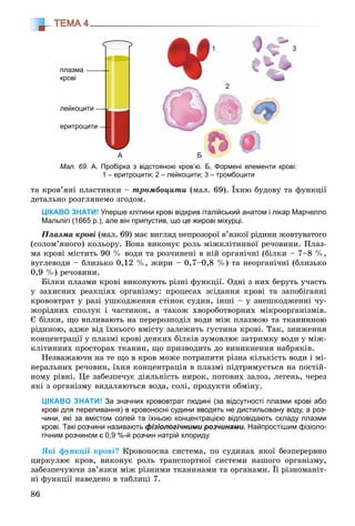 86
ТЕМА 4
òà êðîâ’ÿíі ïëàñòèíêè – òðîìáîöèòè (ìàë. 69). Їõíþ áóäîâó òà ôóíêöії
äåòàëüíî ðîçãëÿíåìî çãîäîì.
ЦІКАВО ЗНАТИ! Уперше клітини крові відкрив італійський анатом і лікар Марчелло
Мальпігі (1665 р.), але він припустив, що це жирові міхурці.
Ïëàçìà êðîâі (ìàë. 69) ìàє âèãëÿä íåïðîçîðîї â’ÿçêîї ðіäèíè æîâòóâàòîãî
(ñîëîì’ÿíîãî) êîëüîðó. Âîíà âèêîíóє ðîëü ìіæêëіòèííîї ðå÷îâèíè. Ïëàç-
ìà êðîâі ìіñòèòü 90 % âîäè òà ðîç÷èíåíі â íіé îðãàíі÷íі (áіëêè – 7–8 %,
âóãëåâîäè – áëèçüêî 0,12 %, æèðè – 0,7–0,8 %) òà íåîðãàíі÷íі (áëèçüêî
0,9 %) ðå÷îâèíè.
Áіëêè ïëàçìè êðîâі âèêîíóþòü ðіçíі ôóíêöії. Îäíі ç íèõ áåðóòü ó÷àñòü
ó çàõèñíèõ ðåàêöіÿõ îðãàíіçìó: ïðîöåñàõ çñіäàííÿ êðîâі òà çàïîáіãàííі
êðîâîâòðàò ó ðàçі óøêîäæåííÿ ñòіíîê ñóäèí, іíøі – ó çíåøêîäæåííі ÷ó-
æîðіäíèõ ñïîëóê і ÷àñòèíîê, à òàêîæ õâîðîáîòâîðíèõ ìіêðîîðãàíіçìіâ.
Є áіëêè, ùî âïëèâàþòü íà ïåðåðîçïîäіë âîäè ìіæ ïëàçìîþ òà òêàíèííîþ
ðіäèíîþ, àäæå âіä їõíüîãî âìіñòó çàëåæèòü ãóñòèíà êðîâі. Òàê, çíèæåííÿ
êîíöåíòðàöії ó ïëàçìі êðîâі äåÿêèõ áіëêіâ çóìîâëþє çàòðèìêó âîäè ó ìіæ-
êëіòèííèõ ïðîñòîðàõ òêàíèí, ùî ïðèçâîäèòü äî âèíèêíåííÿ íàáðÿêіâ.
Íåçâàæàþ÷è íà òå ùî â êðîâ ìîæå ïîòðàïèòè ðіçíà êіëüêіñòü âîäè і ìі-
íåðàëüíèõ ðå÷îâèí, їõíÿ êîíöåíòðàöіÿ â ïëàçìі ïіäòðèìóєòüñÿ íà ïîñòіé-
íîìó ðіâíі. Öå çàáåçïå÷óє äіÿëüíіñòü íèðîê, ïîòîâèõ çàëîç, ëåãåíü, ÷åðåç
ÿêі ç îðãàíіçìó âèäàëÿþòüñÿ âîäà, ñîëі, ïðîäóêòè îáìіíó.
ЦІКАВО ЗНАТИ! За значних крововтрат людині (за відсутності плазми крові або
крові для переливання) в кровоносні судини вводять не дистильовану воду, а роз-
чини, які за вмістом солей та їхньою концентрацією відповідають складу плазми
крові. Такі розчини називають фізіологічними розчинами. Найпростішим фізіоло-
гічним розчином є 0,9 %-й розчин натрій хлориду.
ßêі ôóíêöії êðîâі? Êðîâîíîñíà ñèñòåìà, ïî ñóäèíàõ ÿêîї áåçïåðåðâíî
öèðêóëþє êðîâ, âèêîíóє ðîëü òðàíñïîðòíîї ñèñòåìè íàøîãî îðãàíіçìó,
çàáåçïå÷óþ÷è çâ’ÿçêè ìіæ ðіçíèìè òêàíèíàìè òà îðãàíàìè. Її ðіçíîìàíіò-
íі ôóíêöії íàâåäåíî â òàáëèöі 7.
Мал. 69. А. Пробірка з відстояною кров’ю. Б. Формені елементи крові:
1 – еритроцити; 2 – лейкоцити; 3 – тромбоцити
1 33
2
плазма
крові
лейкоцити
еритроцити
А Б
 