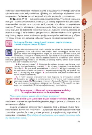 101
спричиняє випорожнення сечового міхура. Вихід із сечового міхура оточений
круговими м’язами, які утворюють сфінктер, що забезпечує періодичне сечо-
випускання. Сечівник з’єднує сечовий міхур із зовнішнім середовищем.
Нефрон (іл. 69 б) — найважливіша складова нирки, утворений нирковим
тільцем і системою звивистих канальців. До складу ниркового тільця входить
чашоподібна капсула, між стінками якої утворюється щілина — порожнина
капсули. У капсулі міститься клубочок капілярів. Капсула розташована в кірко-
вому шарі, від неї відходить звивистий каналець першого порядку, який іде до
мозкового шару і, вигинаючись, утворює петлю. Петля повертається в кірковий
шар і там утворює звивистий каналець другого порядку, який впадає у збірну
трубочку. Стінки всіх структур нефрона утворені одношаровим епітелієм.
Виділення. Органи сечовидільної системи: нирки, сечоводи,
сечовий міхур, сечівник. Нефрон
Органи виділення тісно пов’язані з іншими органами, які виконують виділь-
ну функцію: якщо будь-який з них вийде з ладу, інші беруть на себе його
функції. Якщо погано працюють нирки, їм допоможуть потові залози, які
починають виводити більше речовин, що мали б виводити нирки: сечо-
вину, сечову кислоту тощо. Якщо печінка втрачає здатність забирати з крові жовчні
пігменти (фарбувальні речовини, що входять до складу жовчі), нирки намагаються
вивести якомога більше їх із сечею.
1. Що таке виділення? 2. Поясніть біологічне значення виділення з ор-
ганізму продуктів обміну речовин. 3. Які органи утворюють сечовидільну
систему? 4. Які речовини видаляються із сечею? 5. Які функції виконують
органи сечовидільної системи? 6. Схарактеризуйте будову та функції ни-
рок. 7. Яку будову має нефрон? 8. Яке значення для роботи нирок має їх
багате кровопостачання?
9. У чому полягає взаємозв’язок між будовою та функціями нирки?
10. Доведіть, що нефрон є елементарною структурною та функціональною
одиницею нирки. 11. Маса нирок становить близько 0,5 % маси тіла людини.
Але на функціонування нирок витрачається близько 10 % енергії, яка про-
дукується в організмі. Прокоментуйте наведену інформацію.
§ 25. Роль нирок у здійсненні водно-сольового обміну.  
Захворювання нирок та їх профілактика
Чому нирку можна назвати біологічним фільтром?
Значення нирок для здійснення водно-сольового обміну. Нирки, крім
виділення кінцевих продуктів обміну речовин, беруть участь у здійсненні вод-
но-сольового обміну.
Вода та мінеральні солі відіграють важливу роль у процесі обміну речо-
вин у клітині. Водно-сольовий обмін — сукупність процесів надходження води
та солей в організм, їх усмоктування, розподіл у внутрішньому середовищі й
виділення з організму. Пригадайте функціональне значення для організму води
та мінеральних солей.
 