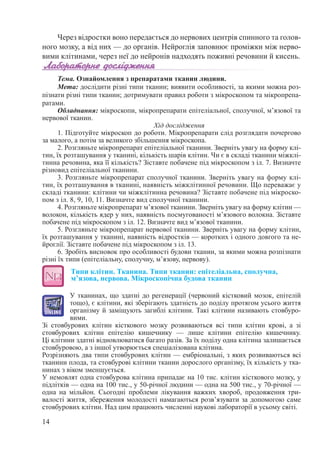 14
Через відростки воно передається до нервових центрів спинного та голов-
ного мозку, а від них — до органів. Нейроглія заповнює проміжки між нерво-
вими клітинами, через неї до нейронів надходять поживні речовини й кисень.
Тема. Ознайомлення з препаратами тканин людини.
Мета: дослідити різні типи тканин; виявити особливості, за якими можна роз-
пізнати різні типи тканин; дотримувати правил роботи з мікроскопом та мікропрепа-
ратами.
Обладнання: мікроскопи, мікропрепарати епітеліальної, сполучної, м’язової та
нервової тканин.
Хід дослідження
1. Підготуйте мікроскоп до роботи. Мікропрепарати слід розглядати почергово
за малого, а потім за великого збільшення мікроскопа.
2. Розгляньте мікропрепарат епітеліальної тканини. Зверніть увагу на форму клі-
тин, їх розташування у тканині, кількість шарів клітин. Чи є в складі тканини міжклі-
тинна речовина, яка її кількість? Зіставте побачене під мікроскопом з іл. 7. Визначте
різновид епітеліальної тканини.
3. Розгляньте мікропрепарат сполучної тканини. Зверніть увагу на форму клі-
тин, їх розташування в тканині, наявність міжклітинної речовини. Що переважає у
складі тканини: клітини чи міжклітинна речовина? Зіставте побачене під мікроско-
пом з іл. 8, 9, 10, 11. Визначте вид сполучної тканини.
4. Розгляньте мікропрепарат м’язової тканини. Зверніть увагу на форму клітин —
волокон, кількість ядер у них, наявність посмугованості м’язового волокна. Зіставте
побачене під мікроскопом з іл. 12. Визначте вид м’язової тканини.
5. Розгляньте мікропрепарат нервової тканини. Зверніть увагу на форму клітин,
їх розташування у тканині, наявність відростків — коротких і одного довгого та не-
йроглії. Зіставте побачене під мікроскопом з іл. 13.
6. Зробіть висновок про особливості будови тканин, за якими можна розпізнати
різні їх типи (епітеліальну, сполучну, м’язову, нервову).
Типи клітин. Тканина. Типи тканин: епітеліальна, сполучна,  
м’язова, нервова. Мікроскопічна будова тканин
У тканинах, що здатні до регенерації (червоний кістковий мозок, епітелій
тощо), є клітини, які зберігають здатність до поділу протягом усього життя
організму й заміщують загиблі клітини. Такі клітини називають стовбуро-
вими.
Зі стовбурових клітин кісткового мозку розвиваються всі типи клітин крові, а зі
стовбурових клітин епітелію кишечнику  — лише клітини епітелію кишечнику.
Ці клітини здатні відновлюватися багато разів. За їх поділу одна клітина залишається
стовбуровою, а з іншої утворюється спеціалізована клітина.
Розрізняють два типи стовбурових клітин — ембріональні, з яких розвиваються всі
тканини плода, та стовбурові клітини тканин дорослого організму, їх кількість у тка-
нинах з віком зменшується.
У немовлят одна стовбурова клітина припадає на 10 тис. клітин кісткового мозку, у
підлітків — одна на 100 тис., у 50-річної людини — одна на 500 тис., у 70-річної —
одна на мільйон. Сьогодні проблеми лікування важких хвороб, продовження три-
валості життя, збереження молодості намагаються розв’язувати за допомогою саме
стовбурових клітин. Над цим працюють численні наукові лабораторії в усьому світі.
 