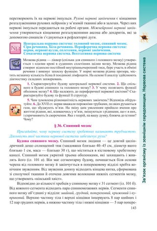 143
перетворюють їх на нервові імпульси. Рухові нервові закінчення є кінцевими
розгалуженнями рухових нейронів у м’язовій тканині або в залозах. Через них
нервові імпульси передаються на робочі органи. Міжнейронні нервові закін-
чення утворюються кінцевими розгалуженнями аксона або дендритів, які за
допомогою синапсів з’єднуються в рефлекторні дуги.
Центральна нервова система: головний мозок, спинний мозок.  
Сіра речовина. Біла речовина. Периферична нервова система:
нерви, нервові вузли, сплетення, нервові закінчення.  
Соматична нервова система. Вегетативна нервова система
Мозкова рідина — ліквор (спільна для спинного і головного мозку) утворю-
ється з плазми крові в судинних сплетіннях щілин мозку. Мозкова рідина
створює відносно постійний внутрішньочерепний тиск, бере участь в обміні
речовин і виконує захисну функцію. У нормі мозкова рідина прозора, міс-
тить незначну кількість білка й поодинокі лімфоцити. На основі її аналізу здійснюють
діагностику складних захворювань.
1. Схарактеризуйте будову центральної нервової системи. 2. Що спіль-
ного в будові спинного та головного мозку? 3. У чому полягають функції
оболонок мозку? 4. Що належить до периферичної нервової системи? Сха-
рактеризуйте будову та функції її структур.
5. Чим зумовлена різноманітність нервових закінчень? Відповідь обґрун-
туйте. 6. До XVII ст. нерви вважали порожніми трубками, по яких рухаються
гази, що збуджують м’язи. На зміну цим уявленням прийшло вчення про
життєві рідини, які, вливаючись у м’язи, змішуються з рідинами, що є в них,
і спричиняють їх скорочення. Яка з теорій, на вашу думку, ближча до істини?
Чому?
§ 36. Спинний мозок
Пригадайте, чому нервову систему хребетних називають трубчастою.
Діяльність якої частини нервової системи забезпечує рухи?
Будова спинного мозку. Спинний мозок людини — це довгий цилін-
дричний дещо сплющений тяж (завдовжки близько 40–45 см, діаметр якого
близько 1 см, маса — близько 30 г), що міститься в кістковому хребетному
каналі. Спинний мозок укритий трьома оболонками, які захищають і жив-
лять його (іл. 101 а). Він має сегментарну будову, починається біля основи
черепа від головного мозку й закінчується в поперековому відділі хребта ко-
нічним звуженням. Від звуження донизу відходить кінцева нитка, сформована
зі сполучної тканини й оточена довгими волокнами нижніх сегментів мозку,
що утворюють «кінський хвіст».
Відповідно до кількості хребців у спинному мозку є 31 сегмент (іл. 101 б).
Від кожного сегмента відходить пара спинномозкових нервів. Сегменти спин-
ного мозку об’єднані у відділи: шийний, грудний, поперековий, крижовий і ку-
приковий. Верхню частину тіла і верхні кінцівки іннервують 8 пар шийних і
12 пар грудних нервів, а нижню частину тіла і нижні кінцівки — 5 пар попере-
 