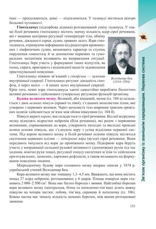 151
інші — пропускаються, деякі — підсилюються. У таламусі містяться центри
больової чутливості.
Гіпоталамус (підгорбова ділянка) розташований унизу таламуса. У тов-
щі білої речовини гіпоталамус містить значну кількість ядер сірої речовини,
які є вищими центрами регуляції температури тіла, обміну
речовин, діяльності серця, судин, травних залоз. Ядра гіпо-
таламуса, отримуючи інформацію від рецепторів кровонос-
них і лімфатичних судин, визначають характер та ступінь
порушення гомеостазу й за допомогою нервових та гумо-
ральних механізмів впливають на виправлення ситуації.
Гіпоталамус бере участь у формуванні таких відчуттів, як
голод, спрага, пристрасть і відповідної щодо їх задоволення
пристосувальної поведінки.
Гіпоталамус ніжкою зв’язаний з гіпофізом — залозою
внутрішньої секреції. Гіпоталамус регулює діяльність гіпо-
фіза, а через нього — й інших залоз внутрішньої секреції.
Крім того, певні ядра гіпоталамуса здатні самостійно виробляти біологічно
активні речовини і здійснювати гуморальну регуляцію функцій організму.
Будова великого мозку. Великий, або кінцевий, мозок (іл. 104 а) склада-
ється з двох великих півкуль (правої та лівої), з’єднаних мозолистим тілом, яке
утворене з нервових волокон. Через мозолисте тіло широким трактом провід-
них шляхів здійснюється зв’язок між обома півкулями (іл. 104 б).
Півкулі вкриті корою, яка складається із сірої речовини. Від неї всередину
мозку відходять відростки нейронів (біла речовина), які разом з нервовими
волокнами, спрямованими до кори, утворюють низхідні та висхідні провідні
шляхи основи півкуль, що з’єднують кору з усіма відділами нервової сис-
теми. Під корою великого мозку в білій речовині основи півкуль містяться
скупчення нервових клітин — підкіркові ядра (вузли) сірої речовини. Вони
передають імпульси від кори до проміжного мозку. Підкіркові ядра беруть
участь у координації складної рухової активності (допоміжних рухів під час
ходіння, мімічні рухи тощо), регуляції тонусу скелетних м’язів та здійснення
орієнтувальних, захисних, харчових рефлексів, а також впливають на форму-
вання поведінки людини.
Мікроскопічну будову кори головного мозку вперше описав у 1874  р.
український учений Володимир Бец.
Кора великого мозку має товщину 1,3–4,5 мм. Вважають, що вона містить
понад 27 млрд нейронів, розташованих у 6 шарів. Площа поверхні кори ста-
новить 2 000–2 500 см2
. Вона має багато борозен і звивин. Найглибші борозни
кори великого мозку (центральна, бічна та потилично-тім’яна) ділять кожну
півкулю на чотири частки: лобову, тім’яну, скроневу й потиличну (іл. 106).
Кожна частка має чималу кількість менших борозен, між якими розташовані
звивини.
Володимир Бец
(1834–1894)
 