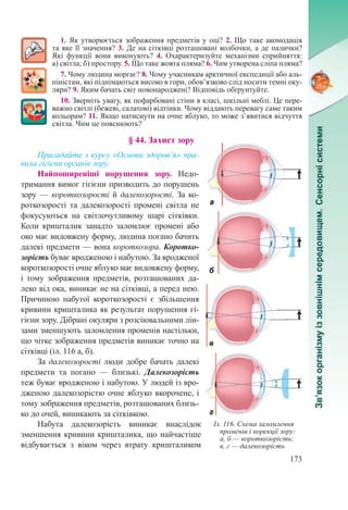 173
1. Як утворюється зображення предметів у оці? 2. Що таке акомодація
та яке її значення? 3. Де на сітківці розташовані колбочки, а де палички?
Які функції вони виконують? 4.  Охарактеризуйте механізми сприйняття:
а) світла; б) простору. 5. Що таке жовта пляма? 6. Чим утворена сліпа пляма?
7. Чому людина моргає? 8. Чому учасникам арктичної експедиції або аль-
піністам, які піднімаються високо в гори, обов’язково слід носити темні оку-
ляри? 9. Яким бачать світ новонароджені? Відповідь обґрунтуйте.
10. Зверніть увагу, як пофарбовані стіни в класі, шкільні меблі. Це пере-
важно світлі (бежеві, салатові) відтінки. Чому віддають перевагу саме таким
кольорам? 11. Якщо натиснути на очне яблуко, то може з’явитися відчуття
світла. Чим це пояснюють?
§ 44. Захист зору
Пригадайте з курсу «Основи здоров’я» пра-
вила гігієни органів зору.
Найпоширеніші порушення зору. Недо-
тримання вимог гігієни призводить до порушень
зору — короткозорості й далекозорості. За ко-
роткозорості та далекозорості промені світла не
фокусуються на світлочутливому шарі сітківки.
Коли кришталик занадто заломлює промені або
око має видовжену форму, людина погано бачить
далекі предмети — вона короткозора. Коротко-
зорість буває вродженою і набутою. За вродженої
короткозорості очне яблуко має видовжену форму,
і тому зображення предметів, розташованих да-
леко від ока, виникає не на сітківці, а перед нею.
Причиною набутої короткозорості є збільшення
кривини кришталика як результат порушення гі-
гієни зору. Дібрані окуляри з розсіювальними лін-
зами зменшують заломлення променів настільки,
що чітке зображення предметів виникає точно на
сітківці (іл. 116 а, б).
За далекозорості люди добре бачать далекі
предмети та погано  — близькі. Далекозорість
теж буває вродженою і набутою. У людей із вро-
дженою далекозорістю очне яблуко вкорочене, і
тому зображення предметів, розташованих близь-
ко до очей, виникають за сітківкою.
Набута далекозорість виникає внаслідок
зменшення кривини кришталика, що найчастіше
відбувається з віком через втрату кришталиком
Іл. 116. Схема заломлення
променів і корекції зору:
а, б — короткозорість;
в, г — далекозорість
 