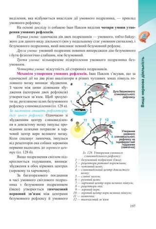 197
виділення, яка відбувається внаслідок дії умовного подразника, — приклад
умовного рефлексу.
На основі досліду із собакою Іван Павлов виділив чотири умови утво-
рення умовних рефлексів.
Перша умова: одночасна дія двох подразників — умовного, тобто байду-
жого для даного виду діяльності (він у подальшому стає умовним сигналом), і
безумовного подразника, який викликає певний безумовний рефлекс.
Друга умова: умовний подразник повинен випереджати дію безумовного
і бути фізіологічно слабшим, ніж безумовний.
Третя умова: кількаразове підкріплення умовного подразника без-
умовним.
Четверта умова: відсутність дії сторонніх подразників.
Механізм утворення умовних рефлексів. Іван Павлов з’ясував, що за
одночасної дії на два різні аналізатори в різних чутливих зонах півкуль го-
ловного мозку виникає збудження.
З часом між цими ділянками збу-
дження (центрами двох рефлексів)
утворюється зв’язок. Щоб зрозумі-
ти це, розглянемо шлях безумовного
рефлексу слиновиділення (іл. 128 а).
За малюнком опишіть рефлекторну
дугу цього рефлексу. Одночасно зі
збудженням центру слиновиділен-
ня в довгастому мозку імпульс про-
відними шляхами потрапляє в хар-
човий центр кори великого мозку.
Коли спалахує лампочка, імпульси
від рецепторів ока собаки зоровими
нервами надходять до зорового цен-
тру (іл. 128 б).
Якщо подразнення світлом під-
кріплюється годуванням, виникає
збудження в обох кіркових центрах
(зоровому та харчовому).
За багаторазового поєднання
в часі умовного світлового подраз-
ника з безумовним подразником
(їжею) утворюється тимчасовий
нервовий зв’язок між центрами
безумовного рефлексу й умовного
Іл. 128. Утворення умовного
слиновидільного рефлексу:
1 — безумовний подразник (їжа);
2 — рецептори ротової порожнини;
3 — чутливий шлях;
4 — слиновидільний центр довгастого
мозку;
5 — слинні залози;
6 — руховий шлях;
7 — харчовий центр кори великих півкуль;
8 — рецептори ока;
9 — зоровий нерв;
10 — зоровий центр кори великих півкуль;
11 — лампочка;
12 — тимчасовий зв’язок
 